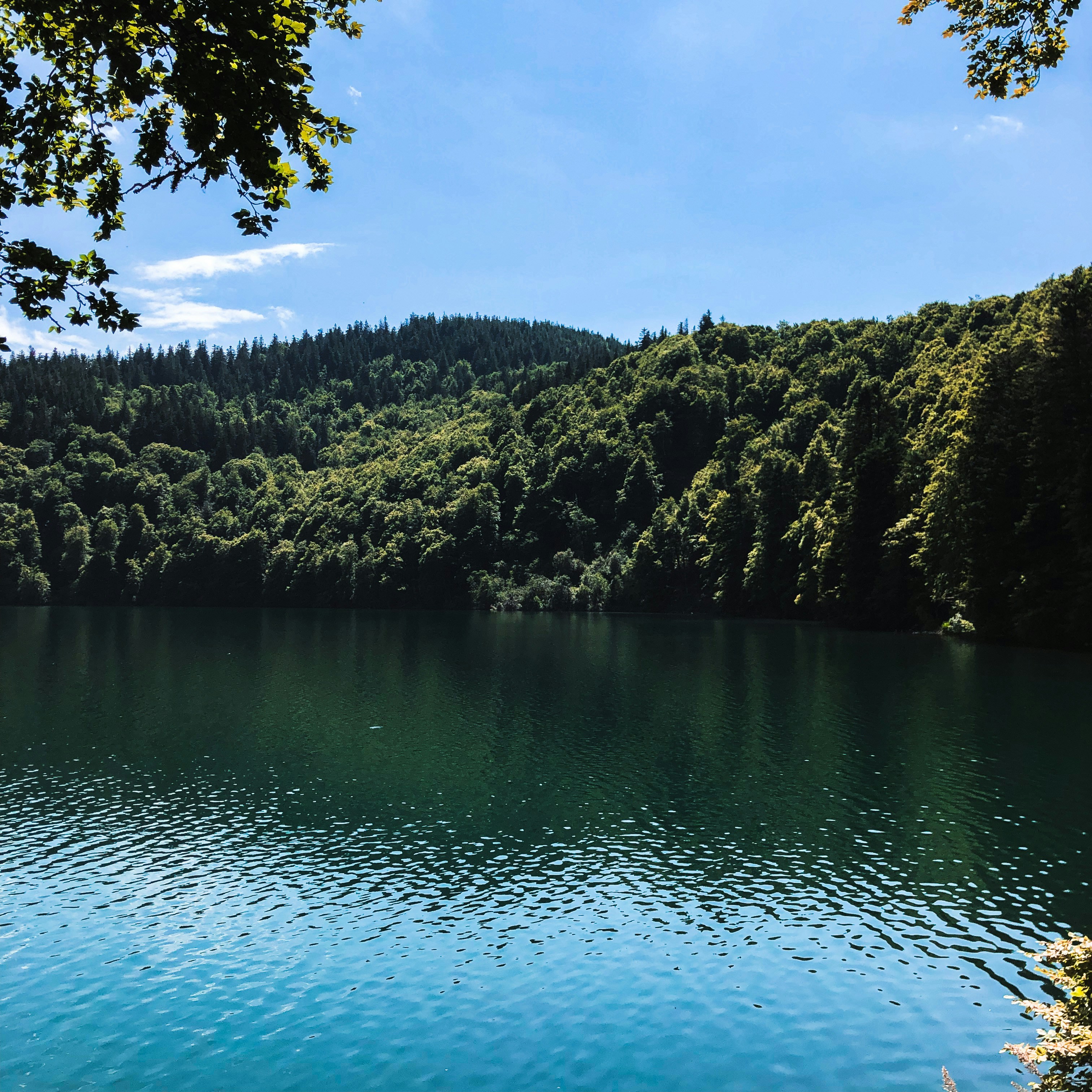 Photo by heloisemartelcaen