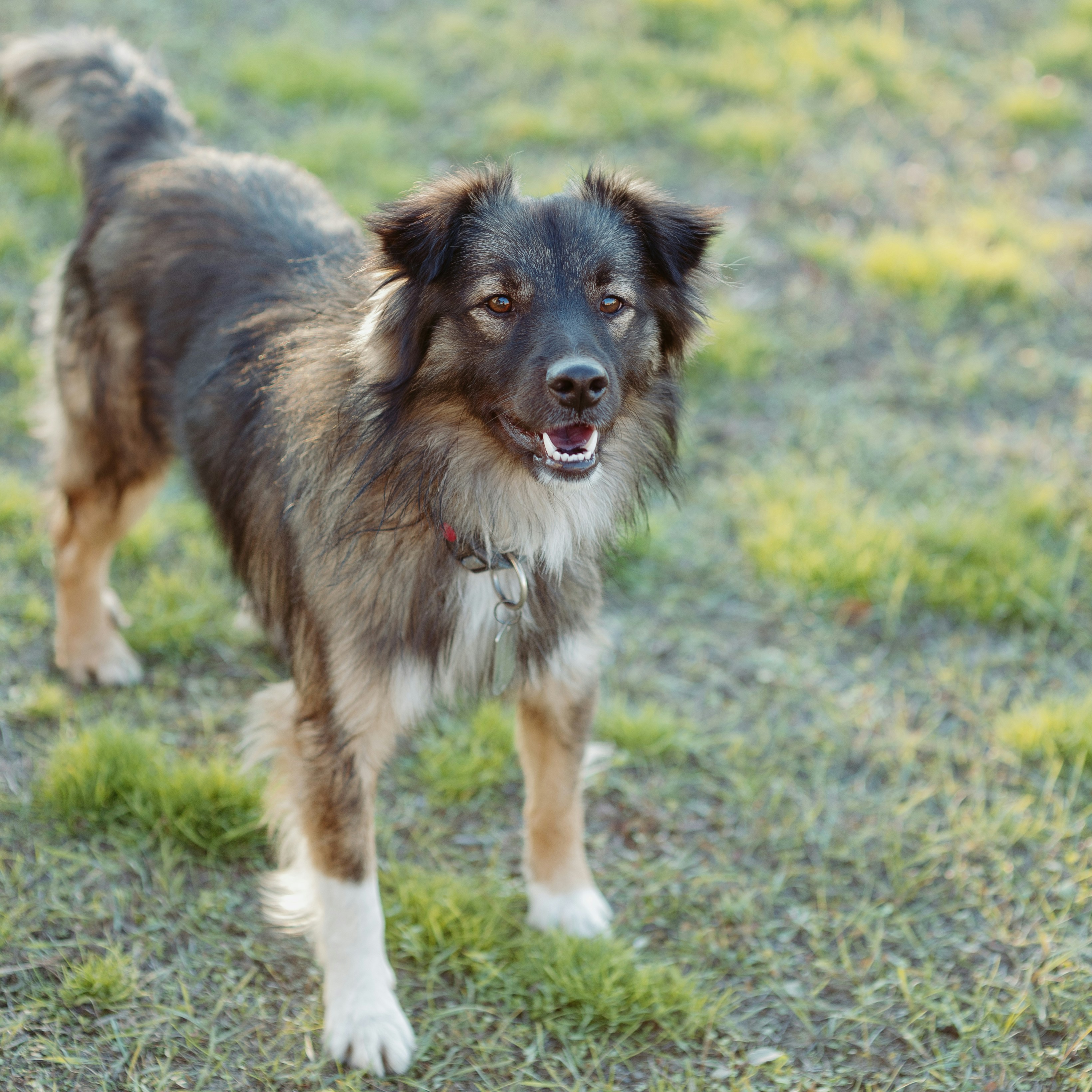 Photo by evil_bumblebee