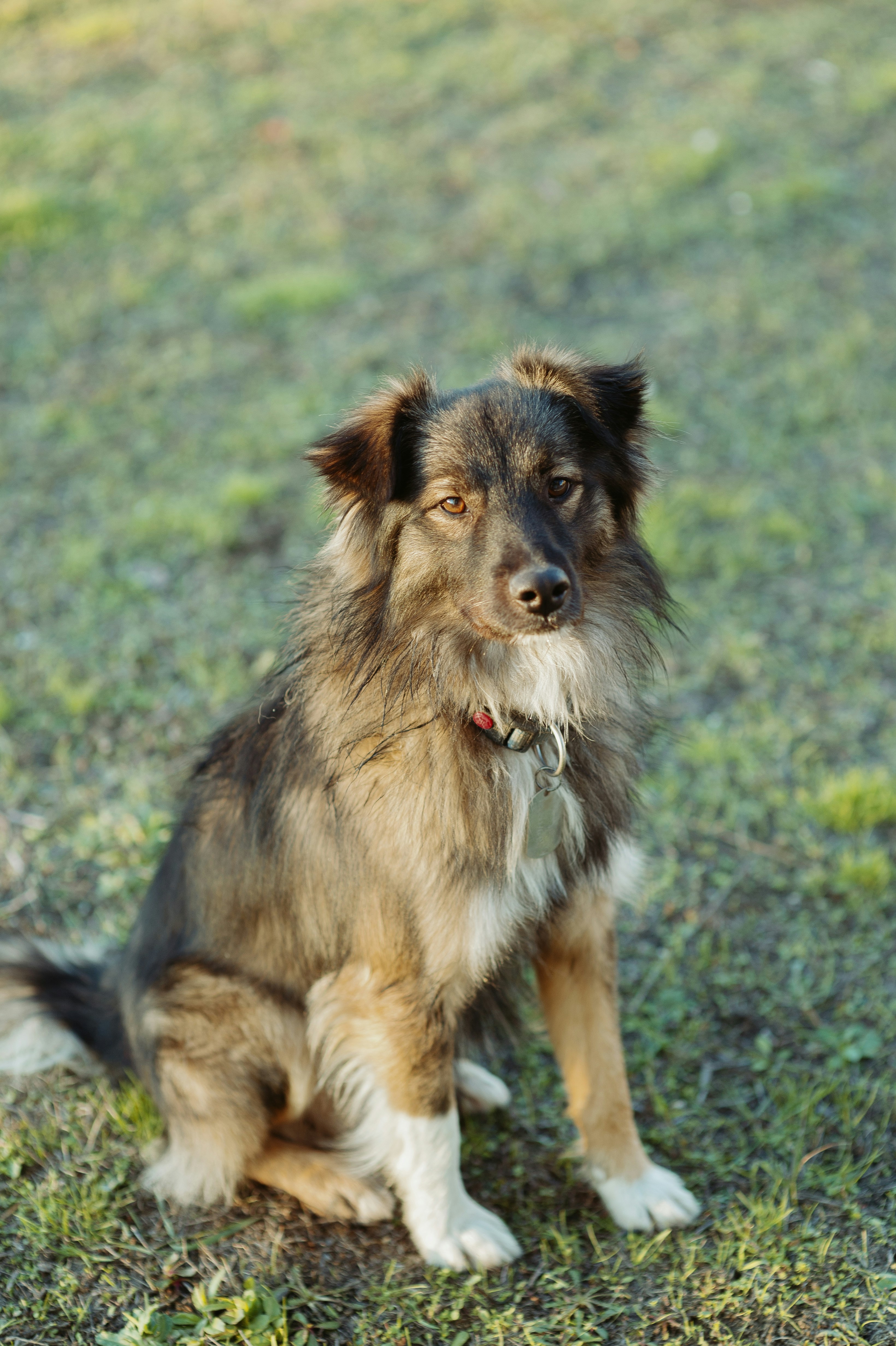 Photo by evil_bumblebee