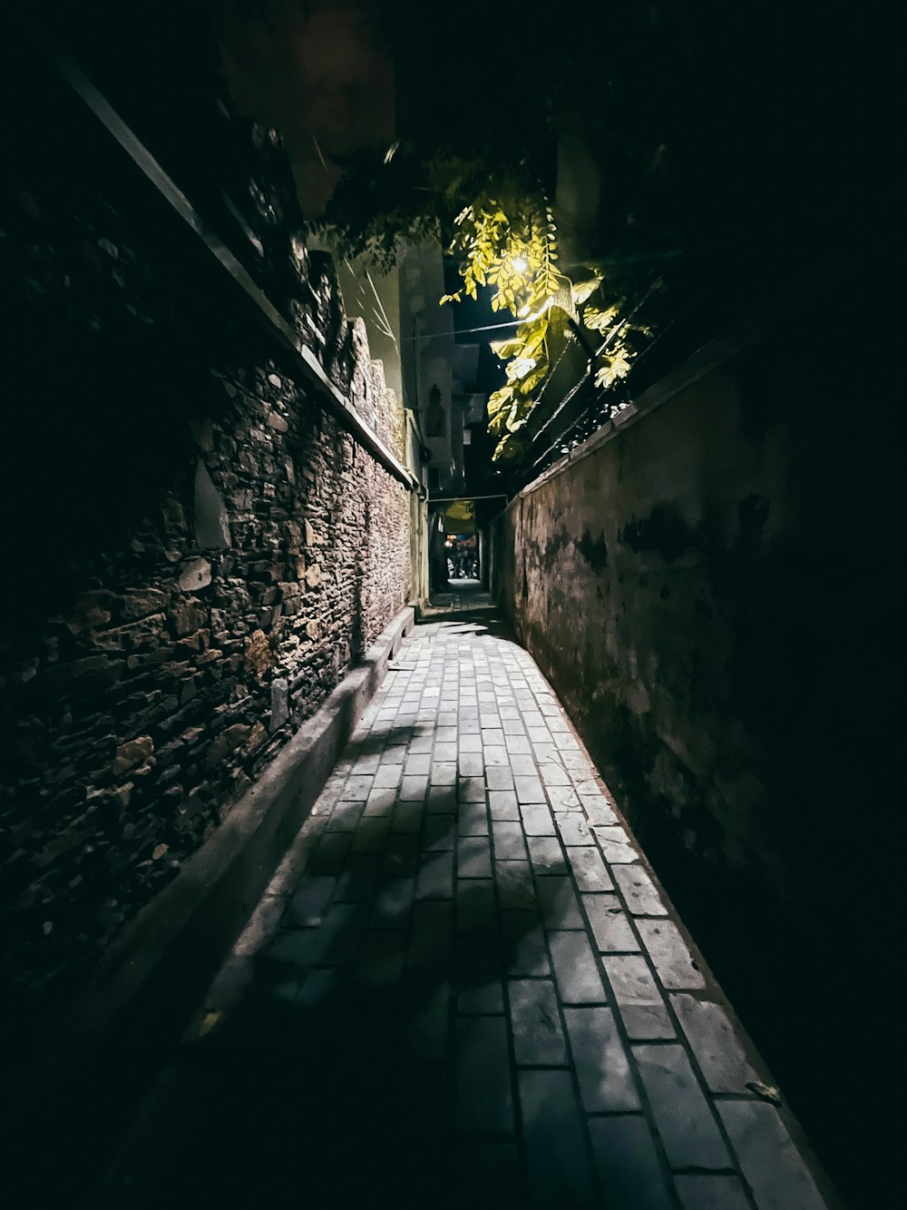 a dark alley with a brick walkway leading to a building