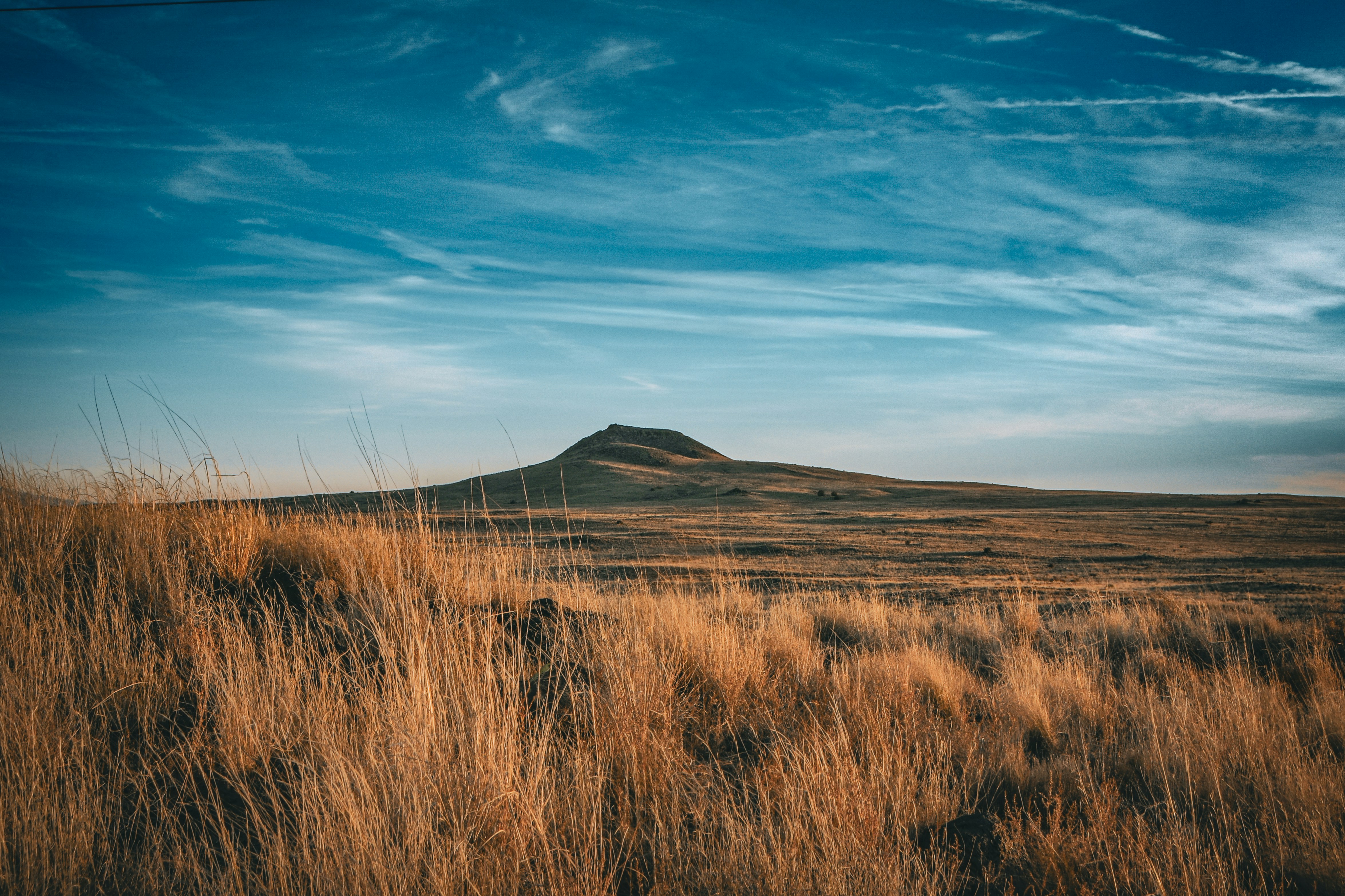 Photo by scottelkins