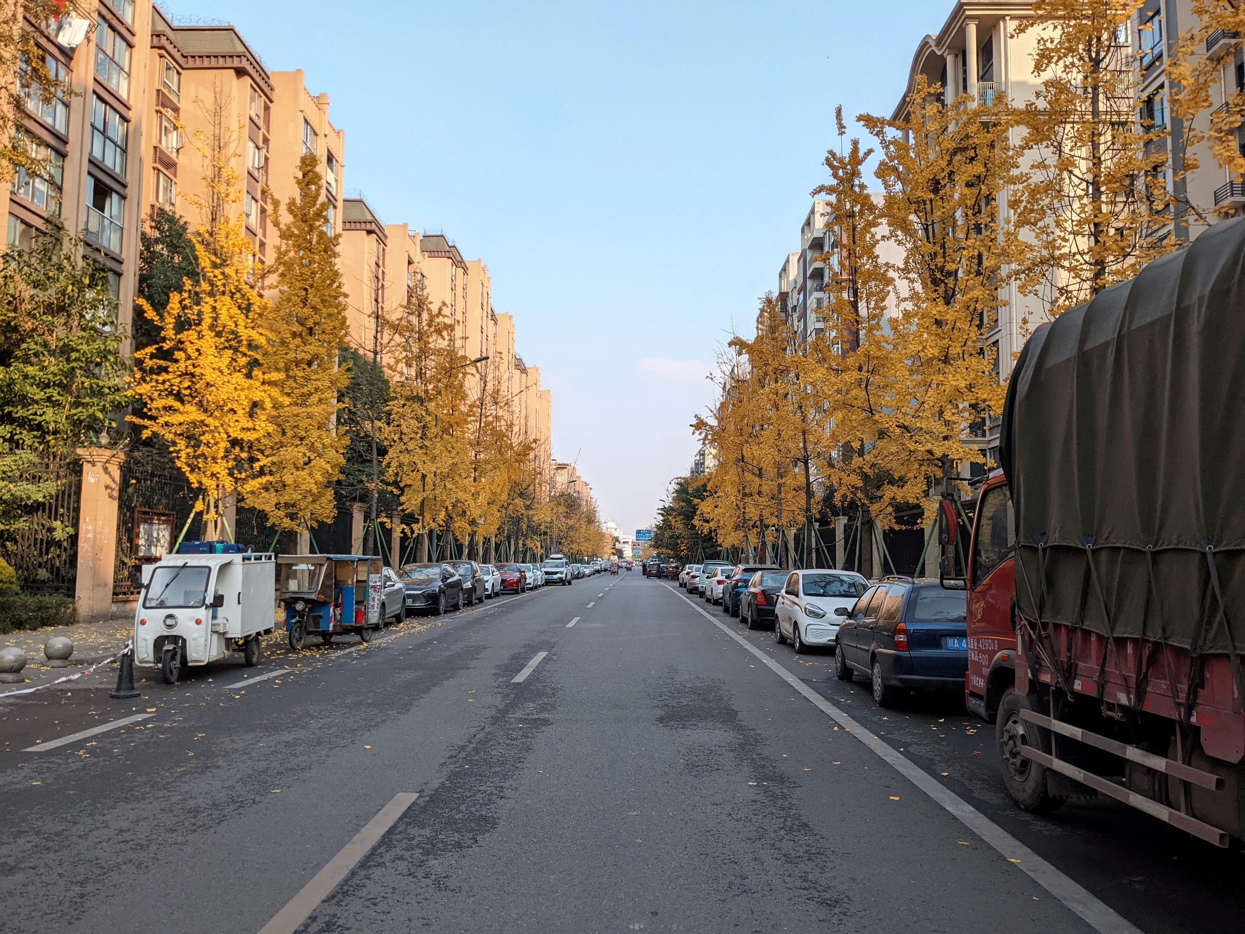 Banks vs. Apps: The Modern Nomad's Guide to Transfers