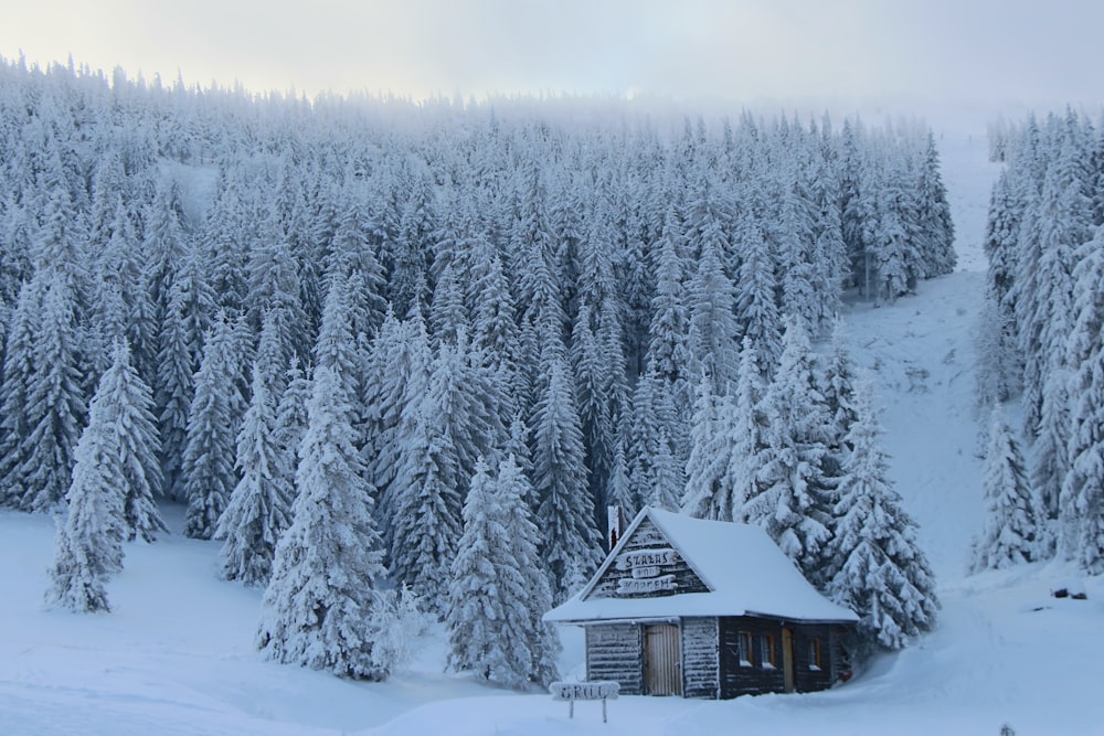 a cabin in the middle of a snowy forest