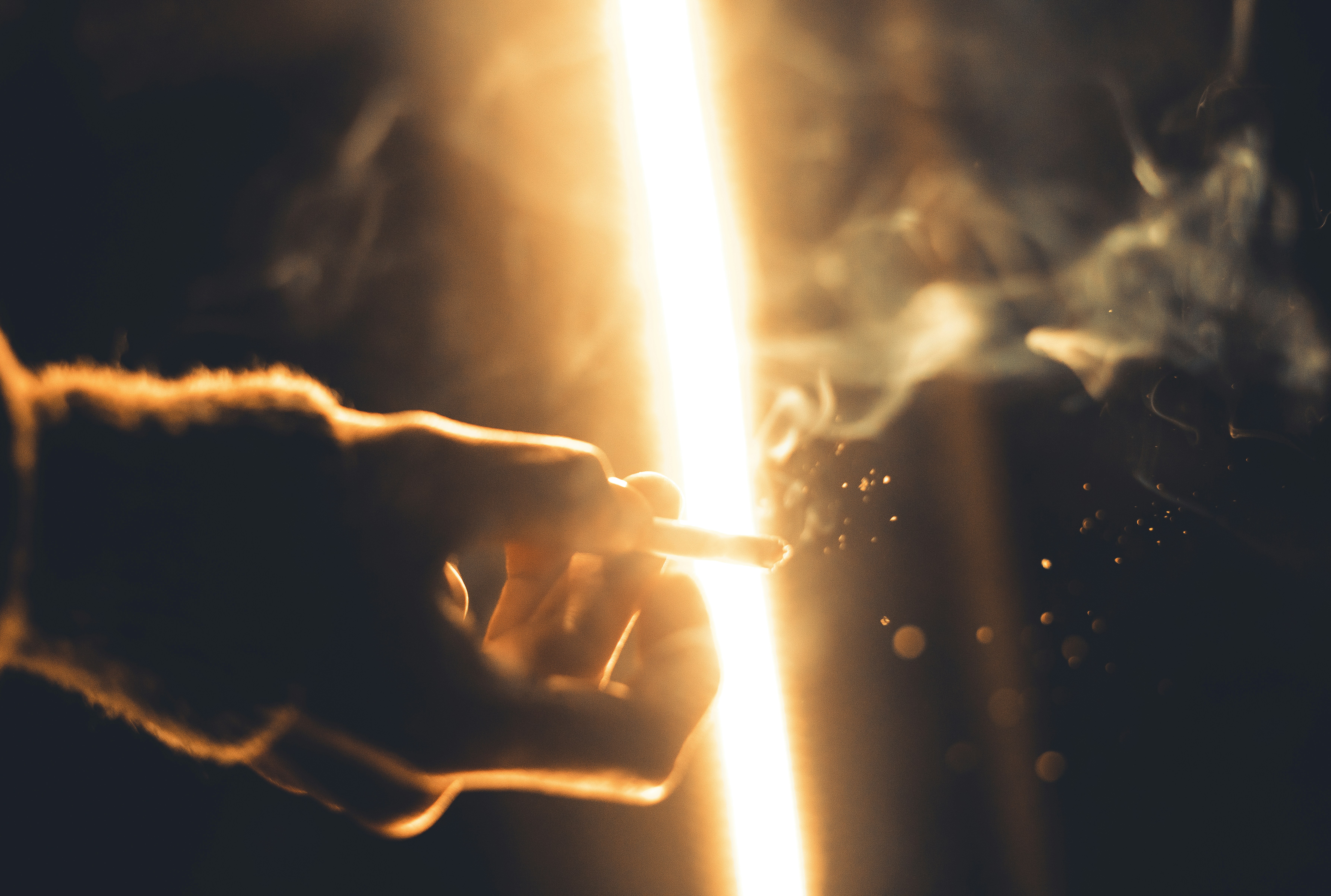 Photo by viditgoswami