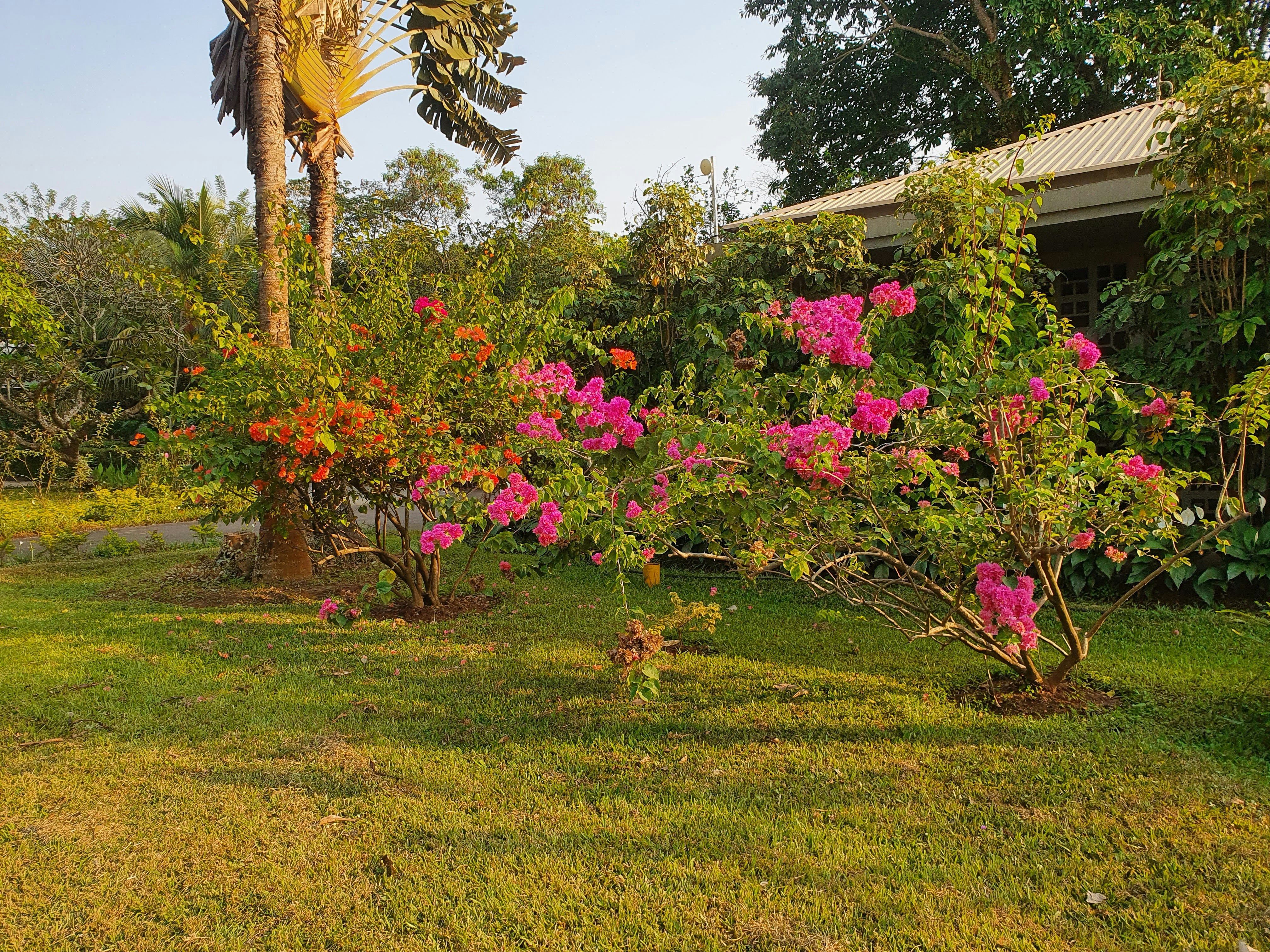 Landscaper