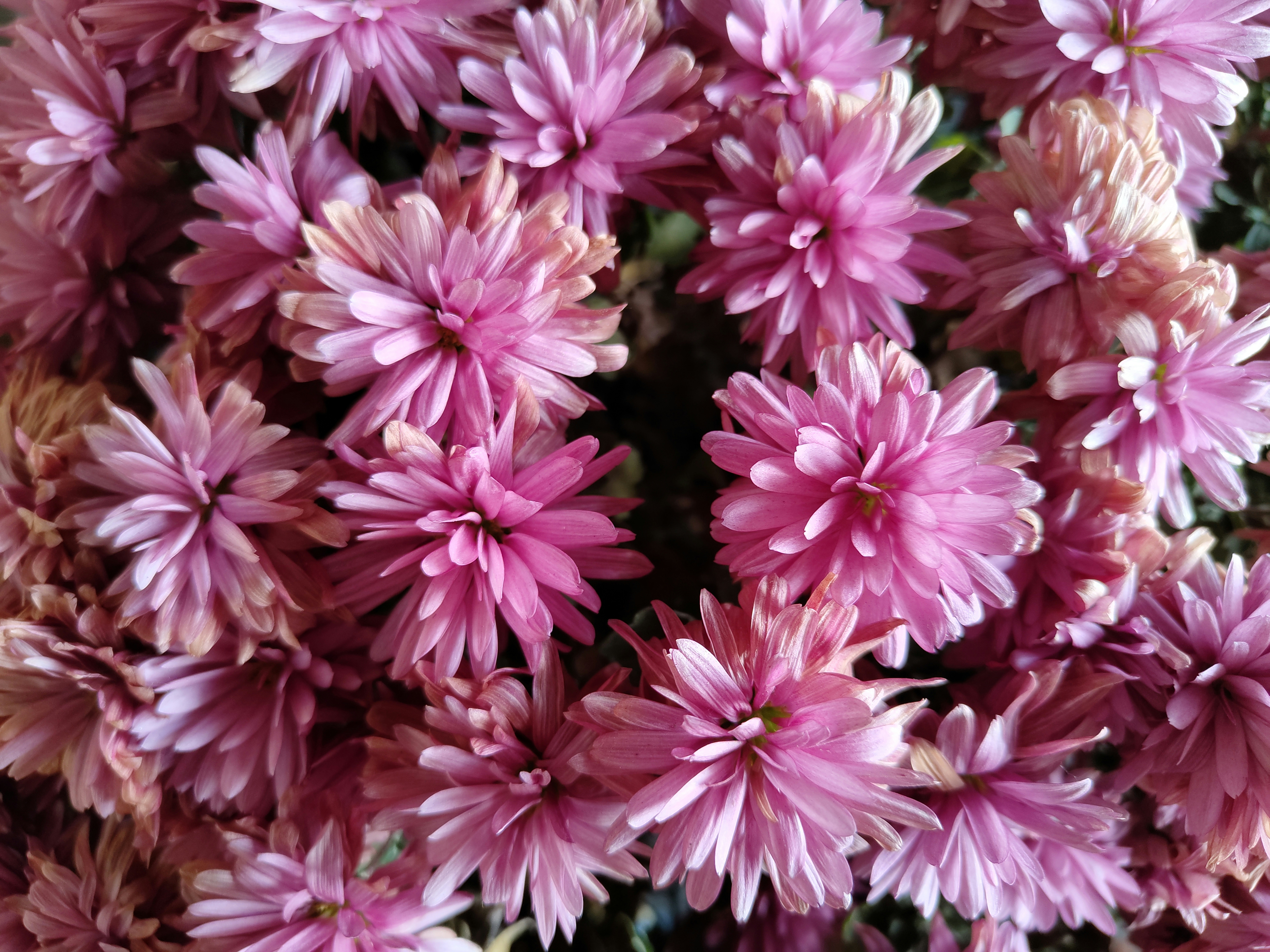 Photo by photosbymaple