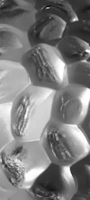 A close-up view of a textured surface with a pattern resembling hexagonal cells. The surface appears metallic or glass-like, with each cell having a smooth, reflective surface that catches light, creating a range of highlights and shadows.