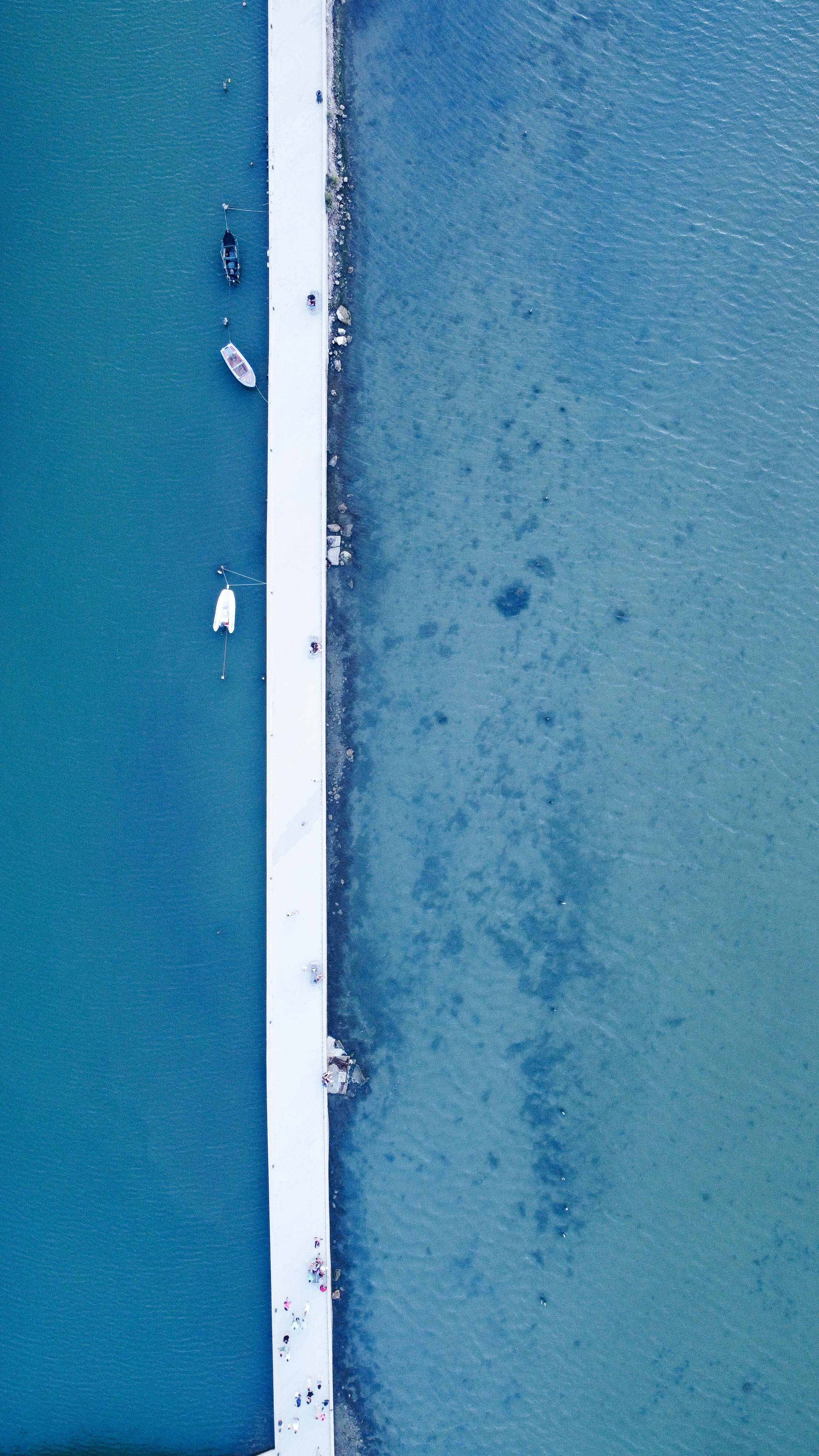 Photo by vencislavsh