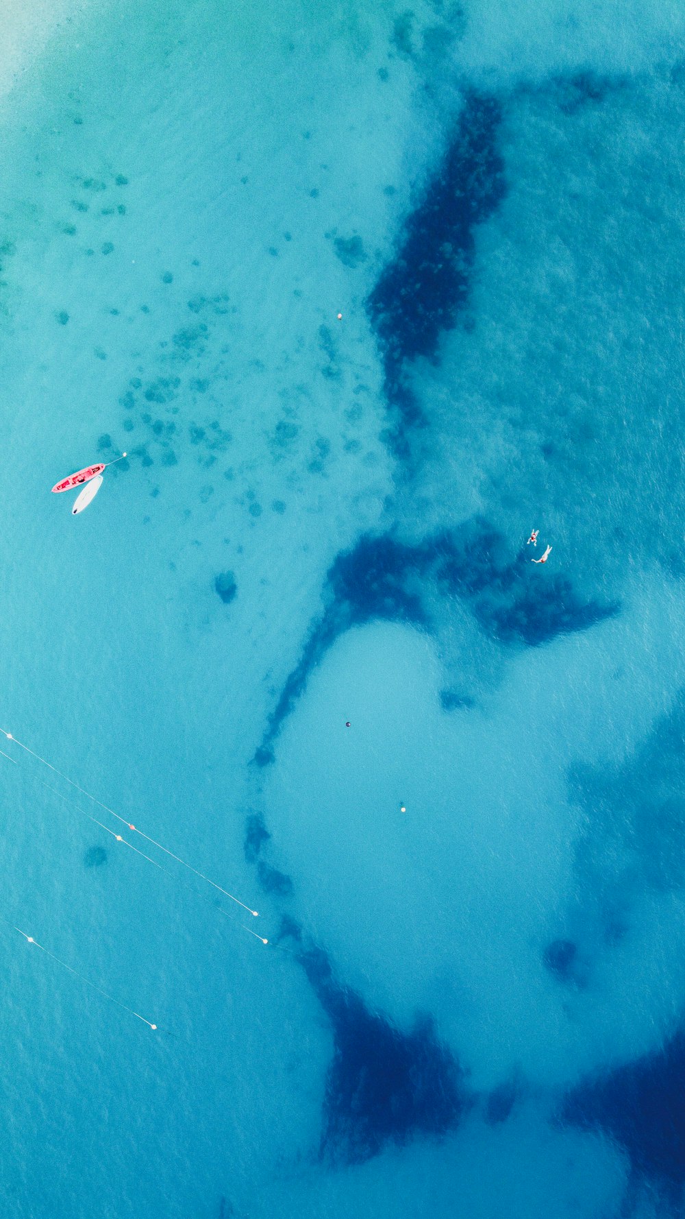 a couple of kites that are in the water