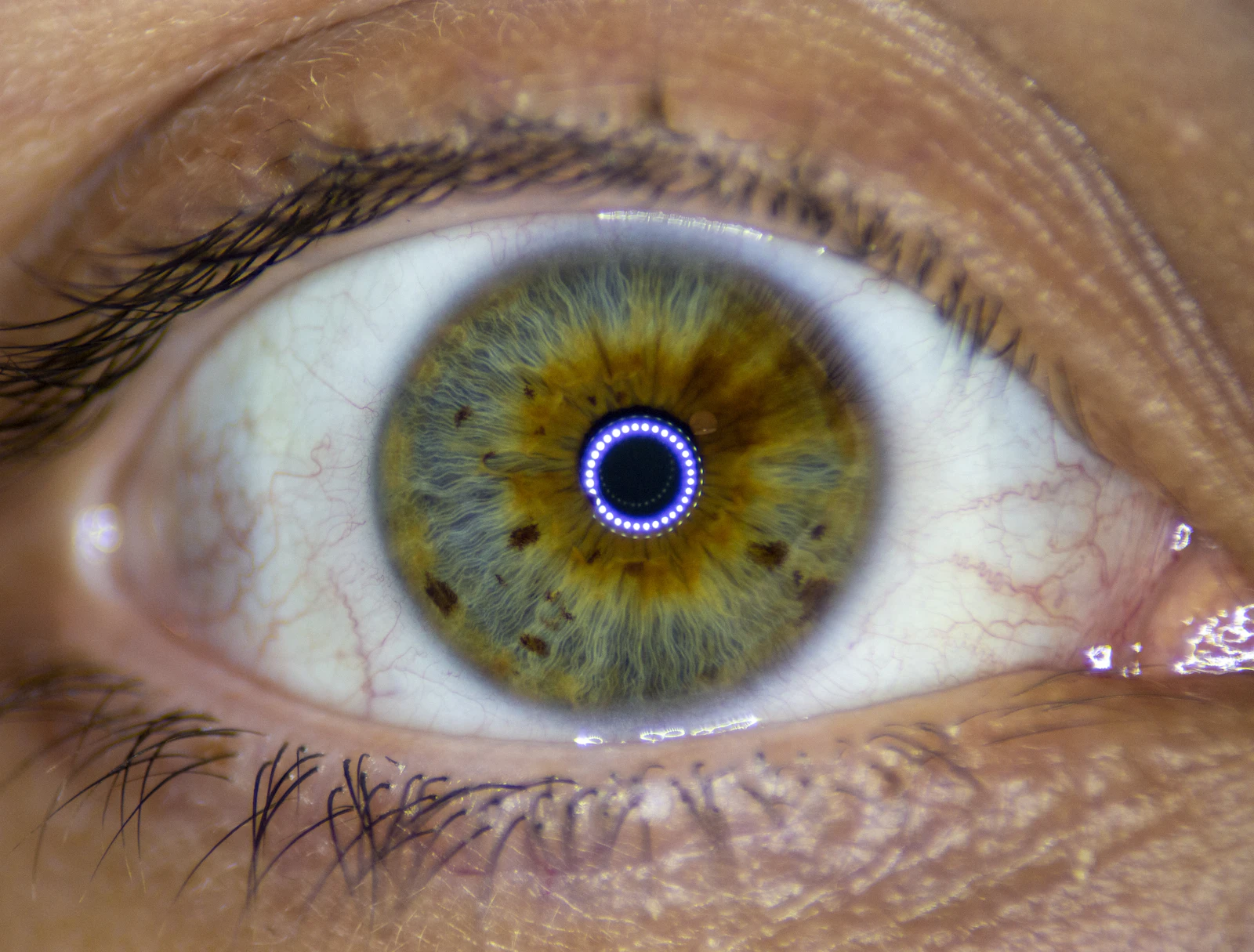 Close-up of the human iris