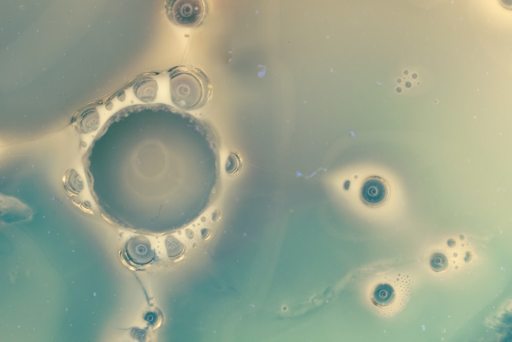 a close up of water bubbles and bubbles