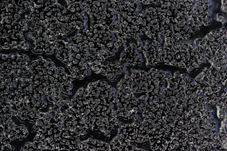 a close up of the surface of a black surface