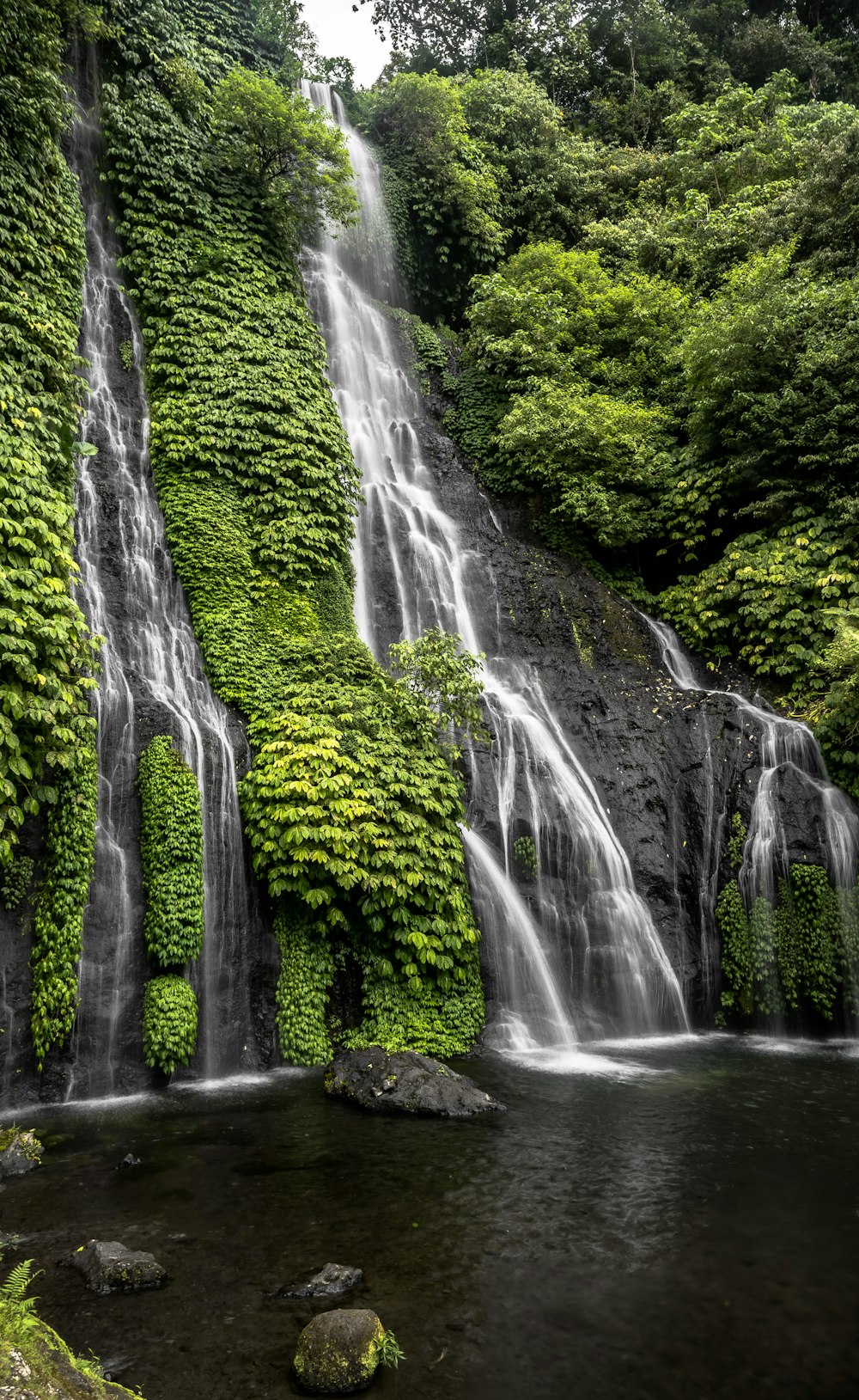 a waterfall is covered in green plants and water