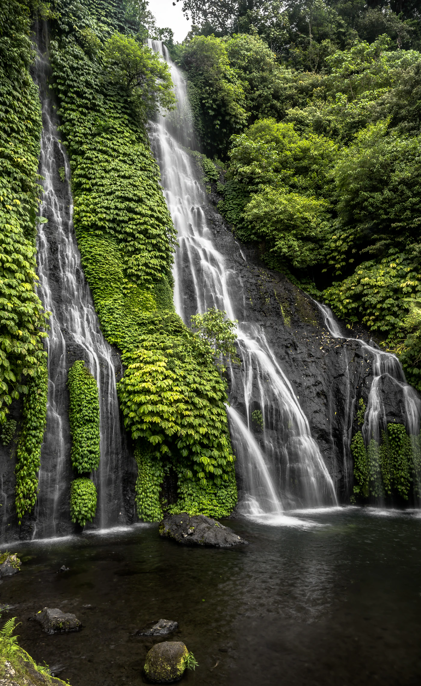 Close-up of Banyumala waterfall streams running over green moss