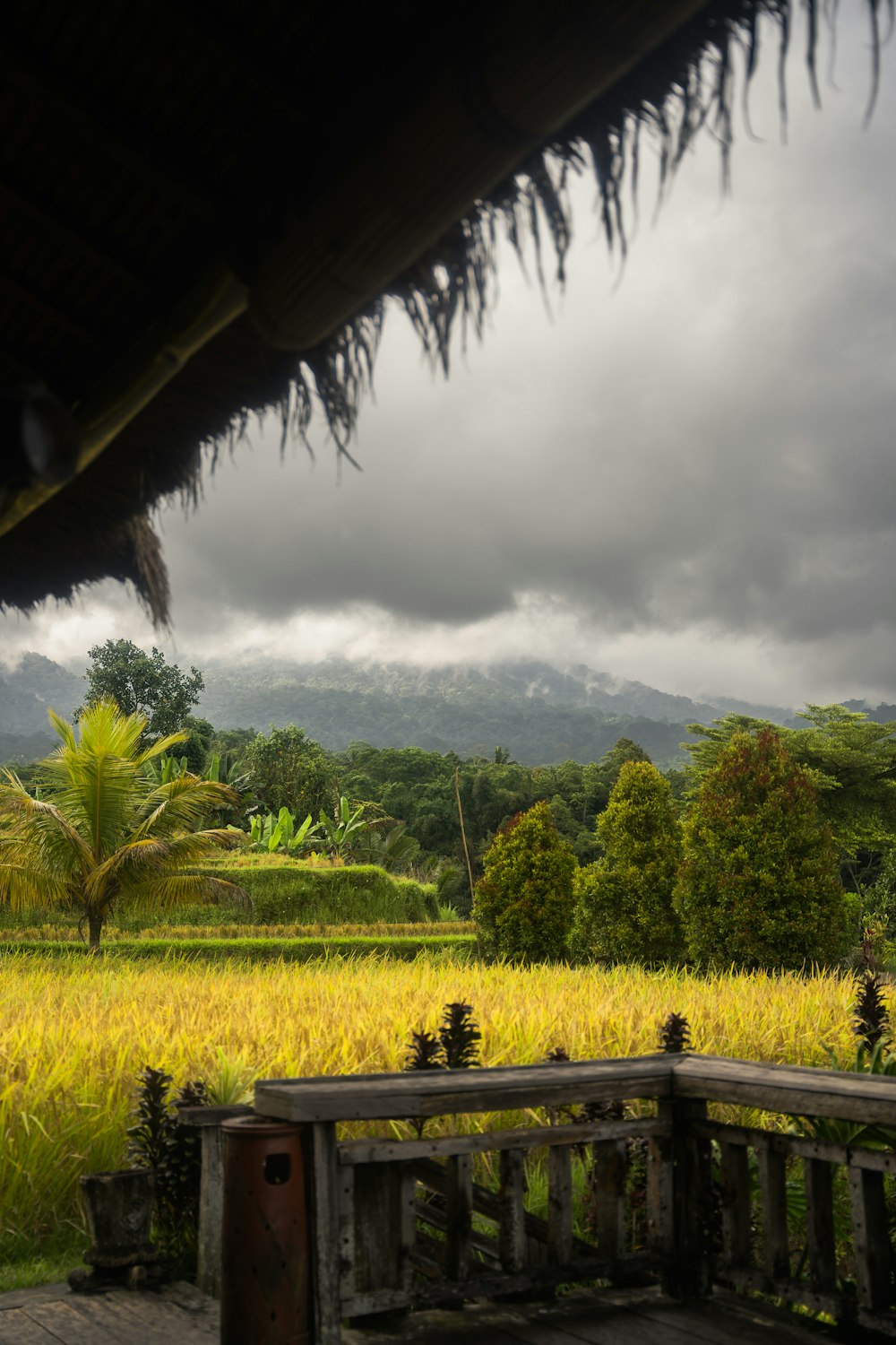 a wooden bench sitting in front of a lush green field