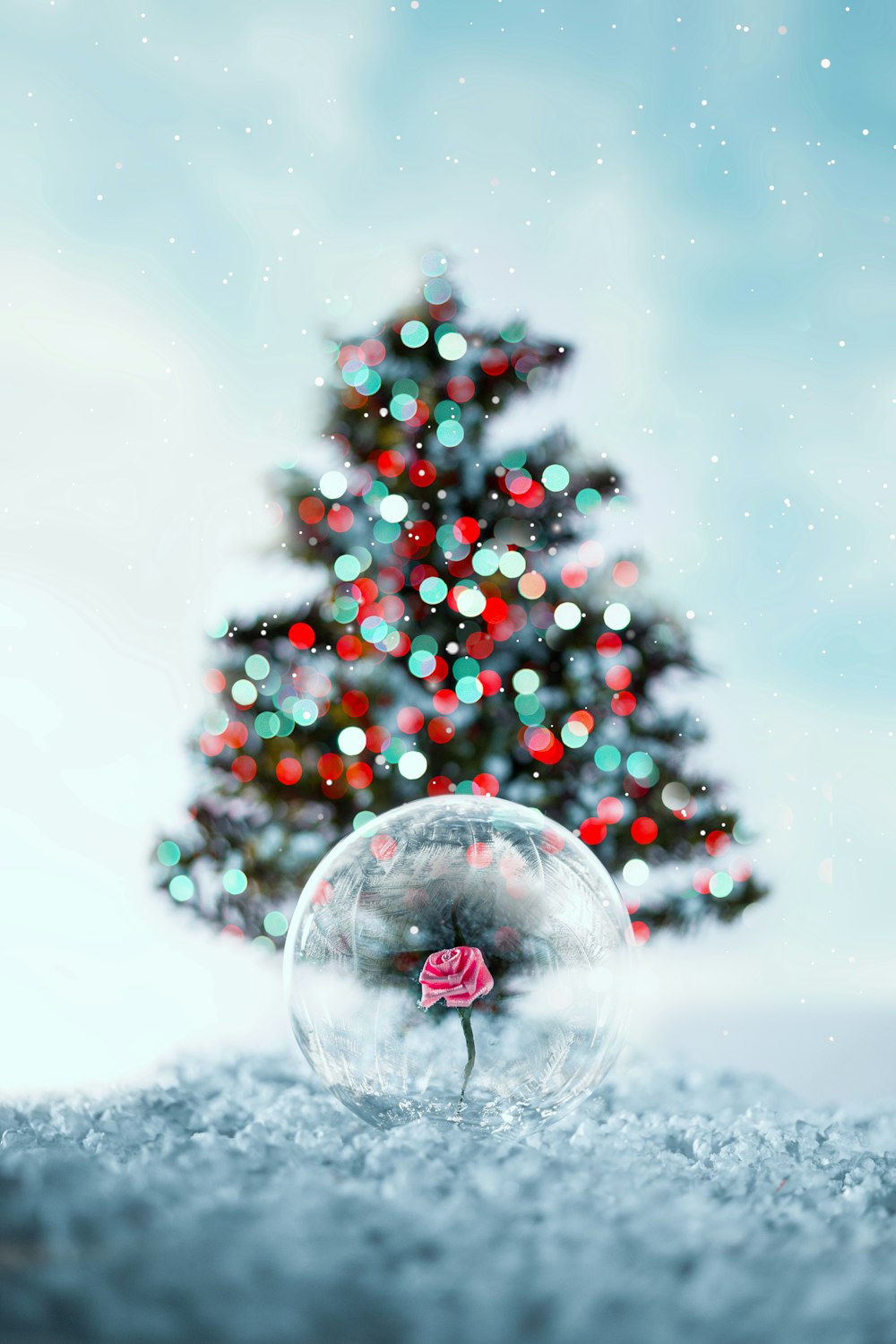 a snow globe with a red rose in it
