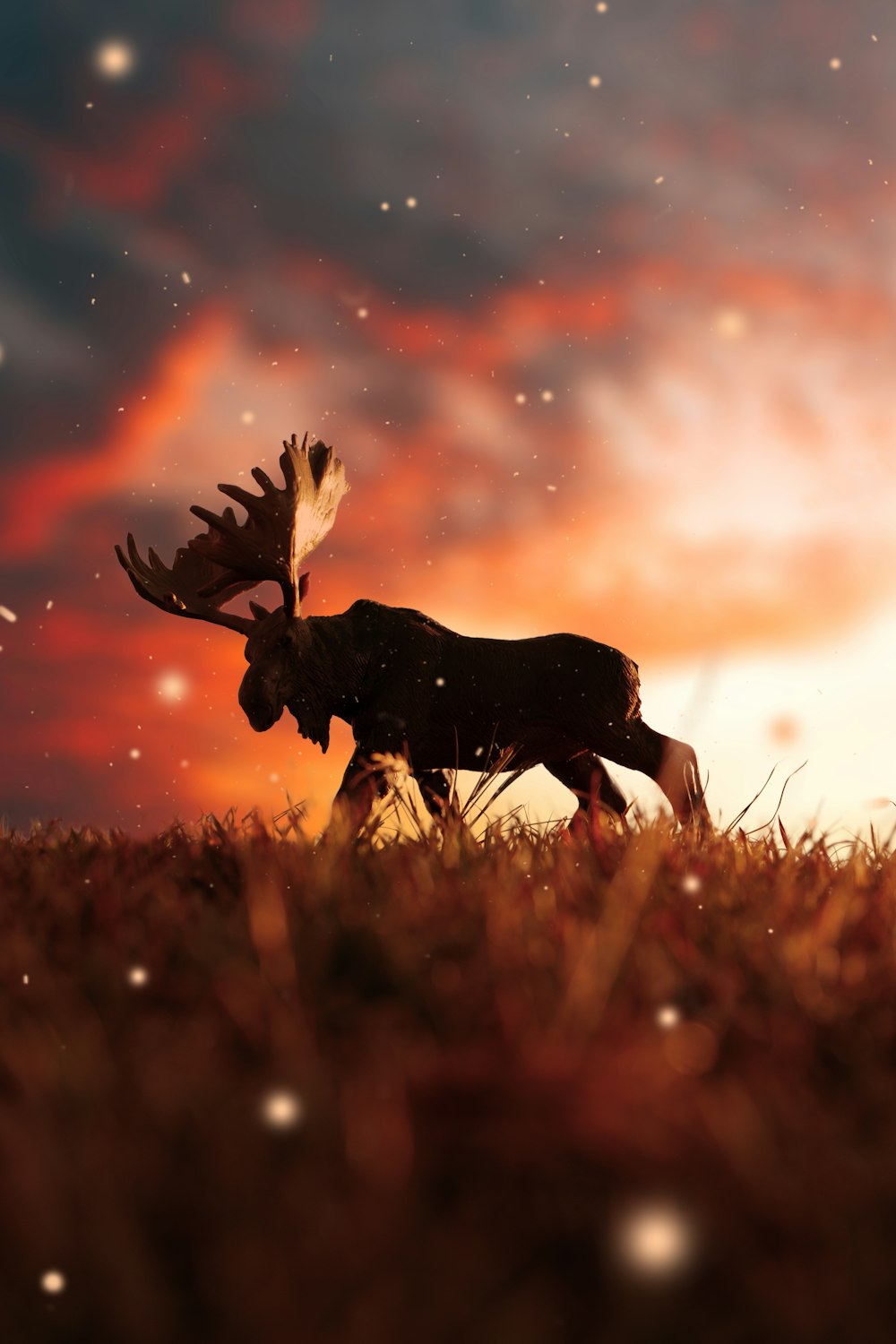 a moose walking across a grass covered field