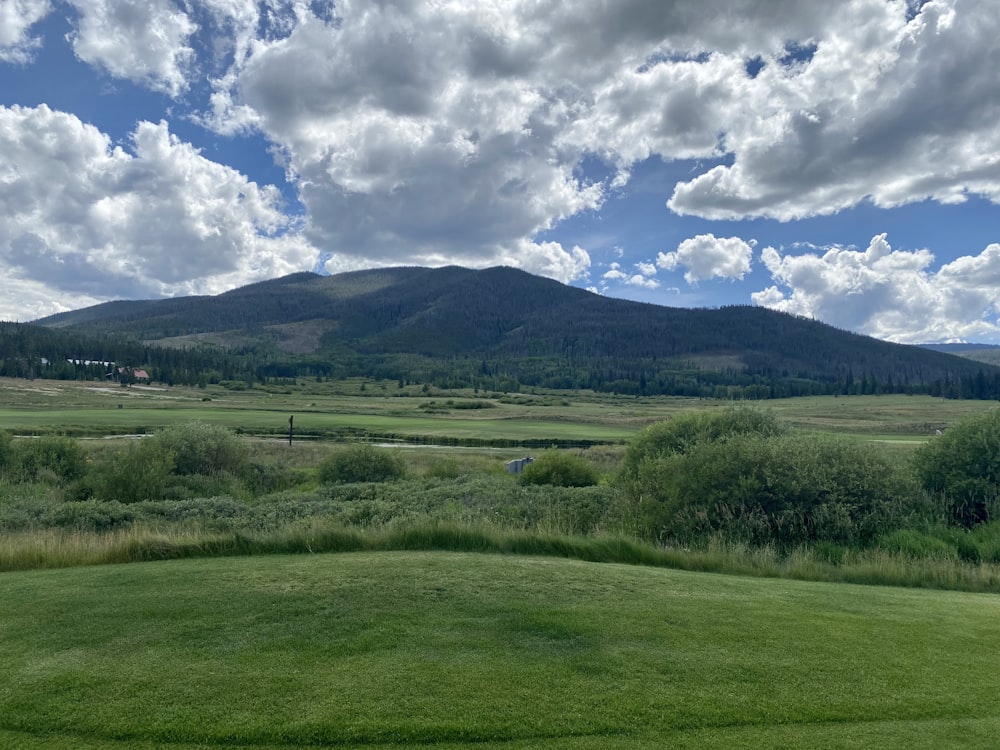 a green field with a mountain in the background