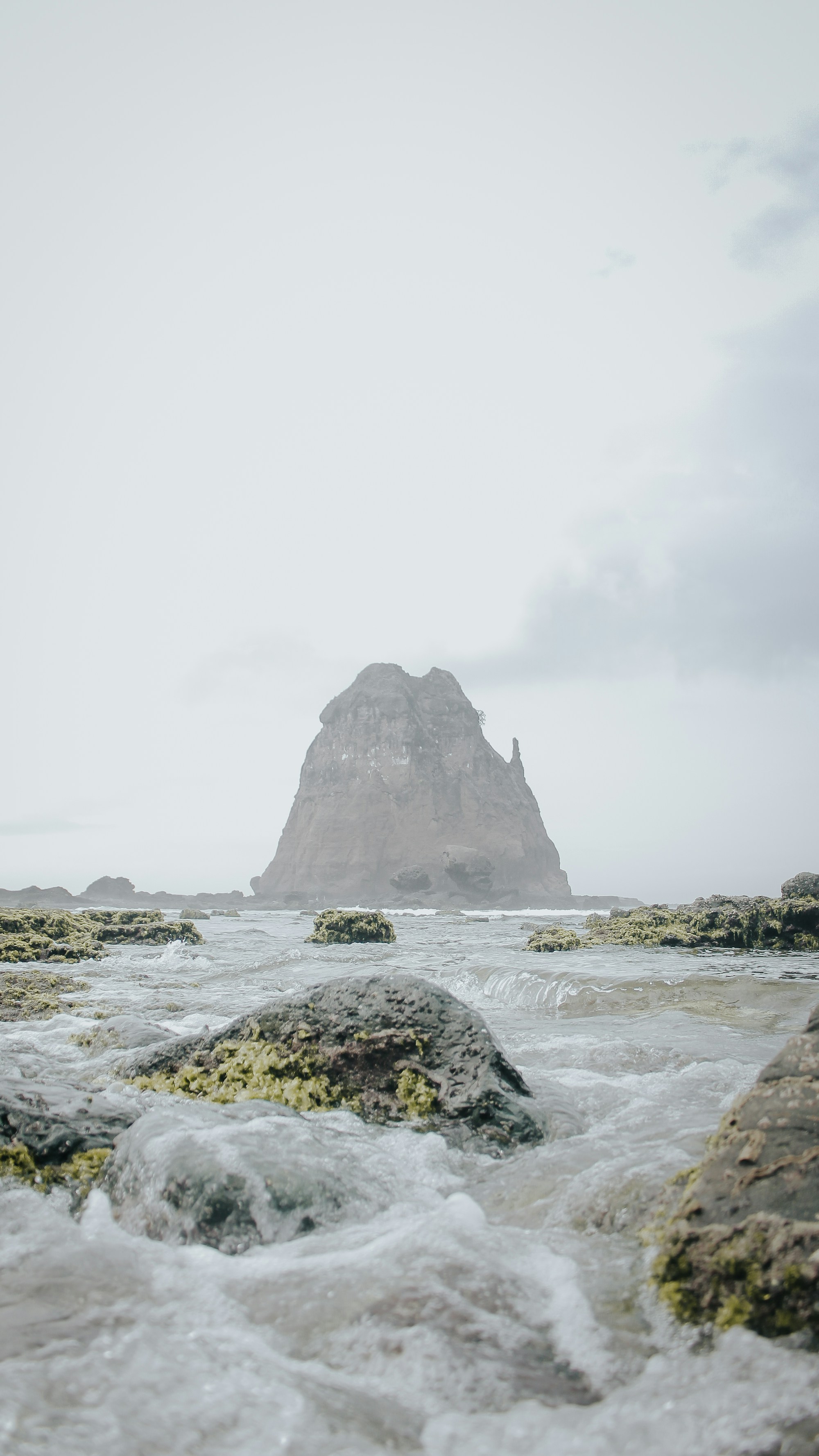 What to See in Jember: A Travel Guide