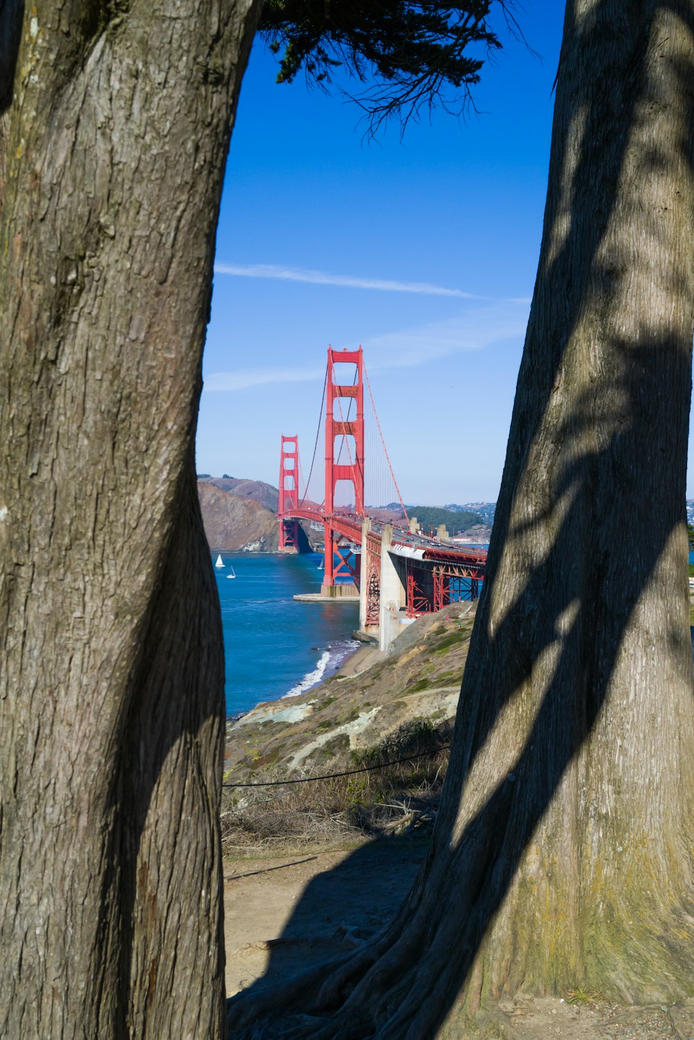a view of the golden gate bridge through two trees