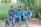 Three men wearing traditional clothing are seated on a brick ledge near a field with lush greenery and trees in the background. Two of the men are wearing blue outfits and sandals, while one man wears sunglasses and holds a phone. The surroundings suggest a rural setting with a natural landscape and palm-like plants.