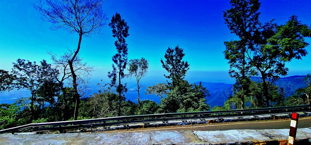 a scenic view of the mountains and trees