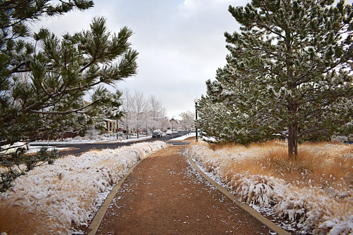 Western State Colorado University