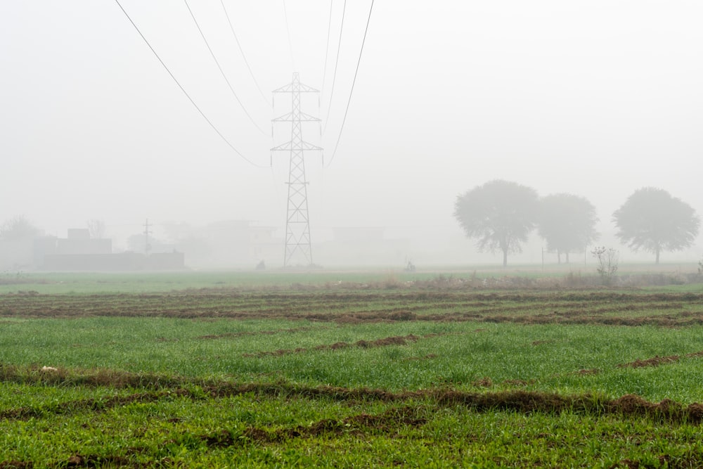 a foggy field with power lines in the distance