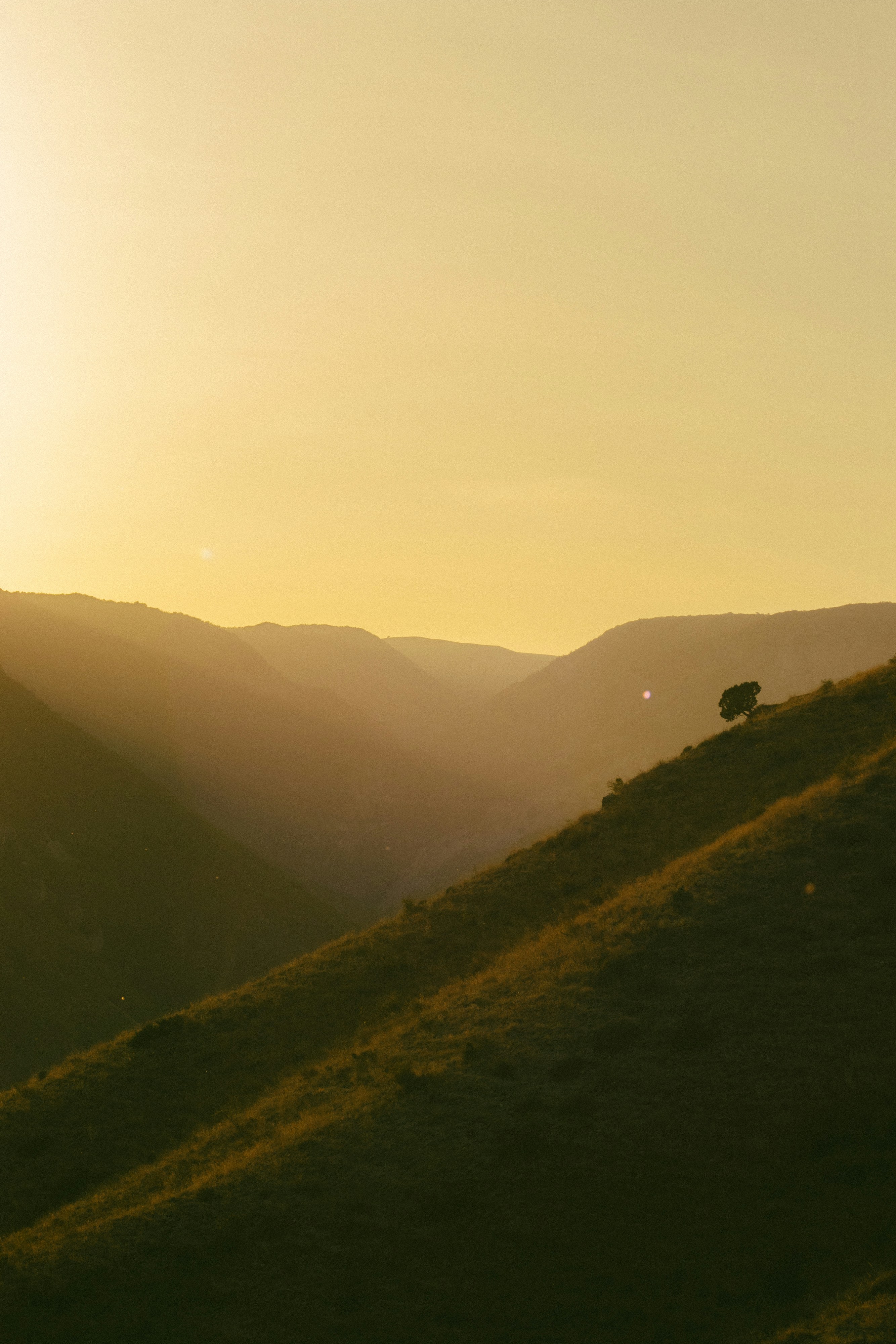 Photo by erikmaranjyan