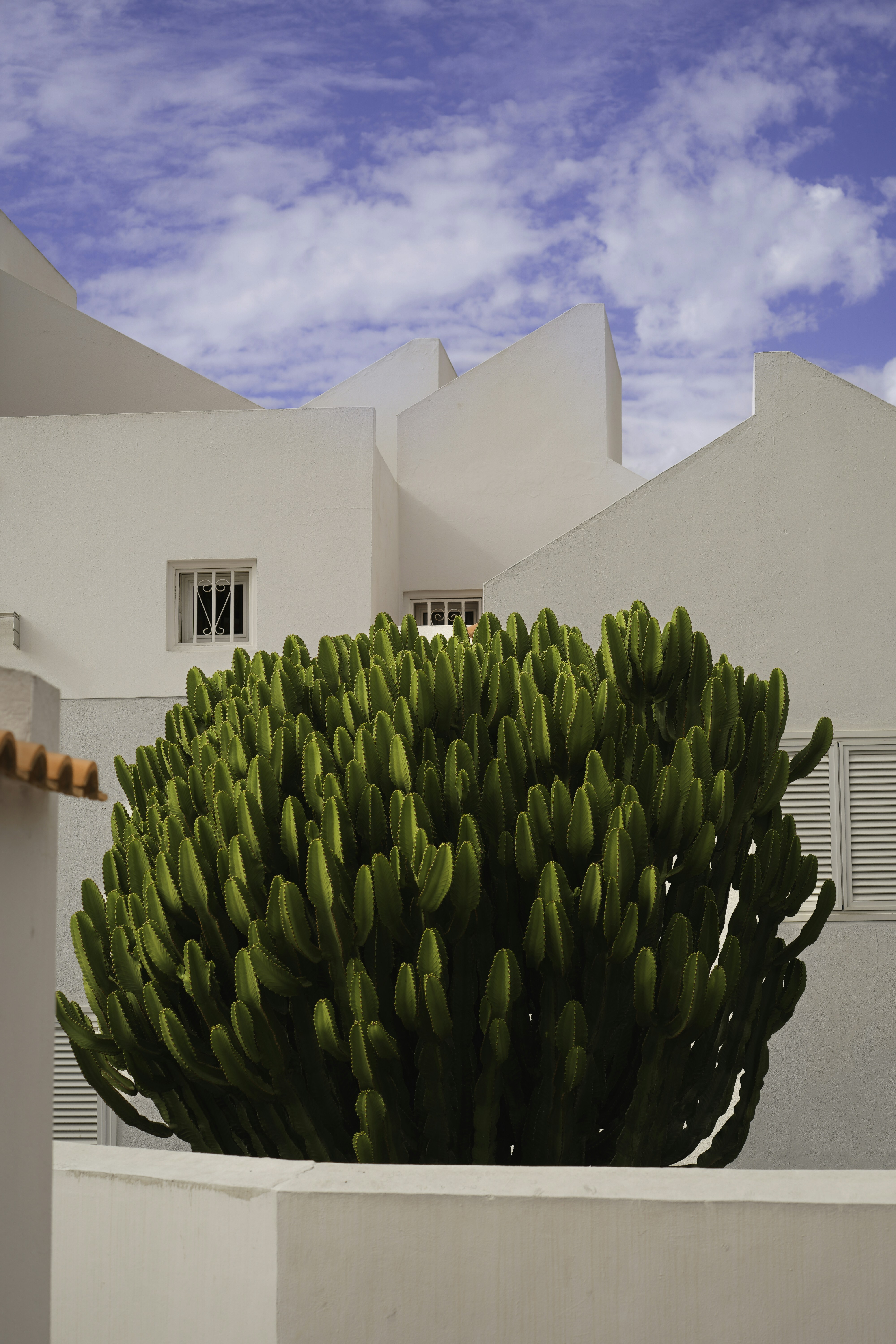 Photo by vencislavsh