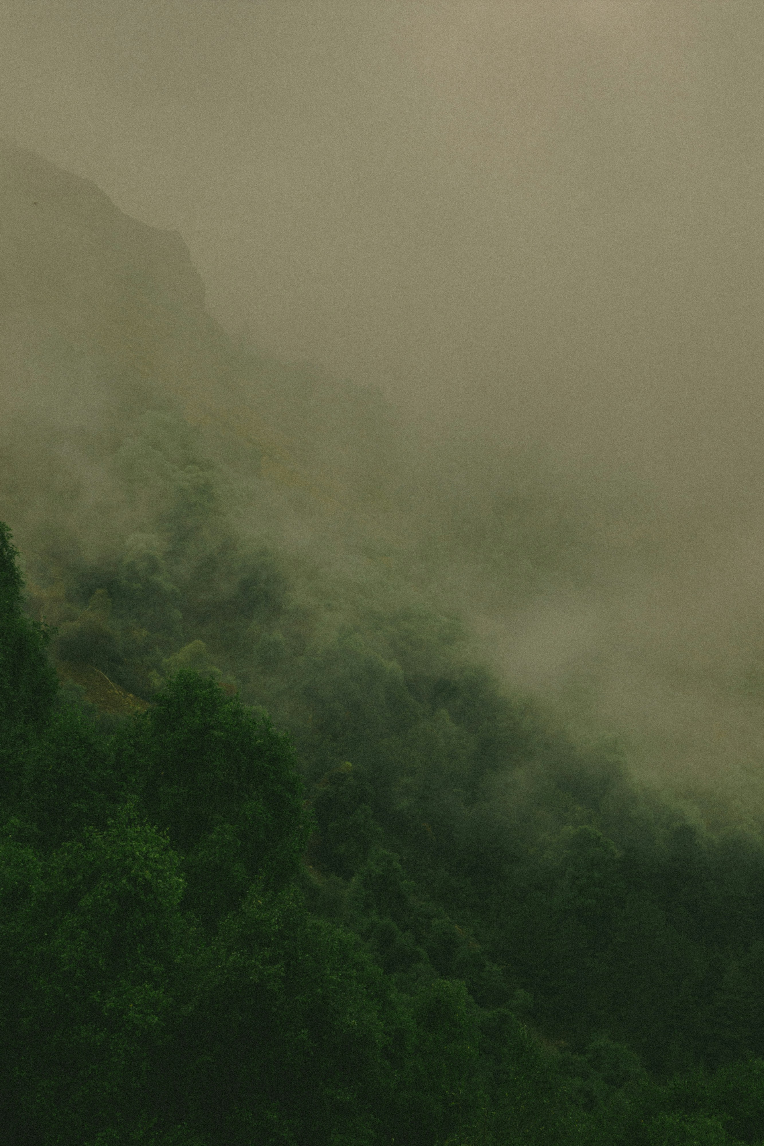 Photo by erikmaranjyan