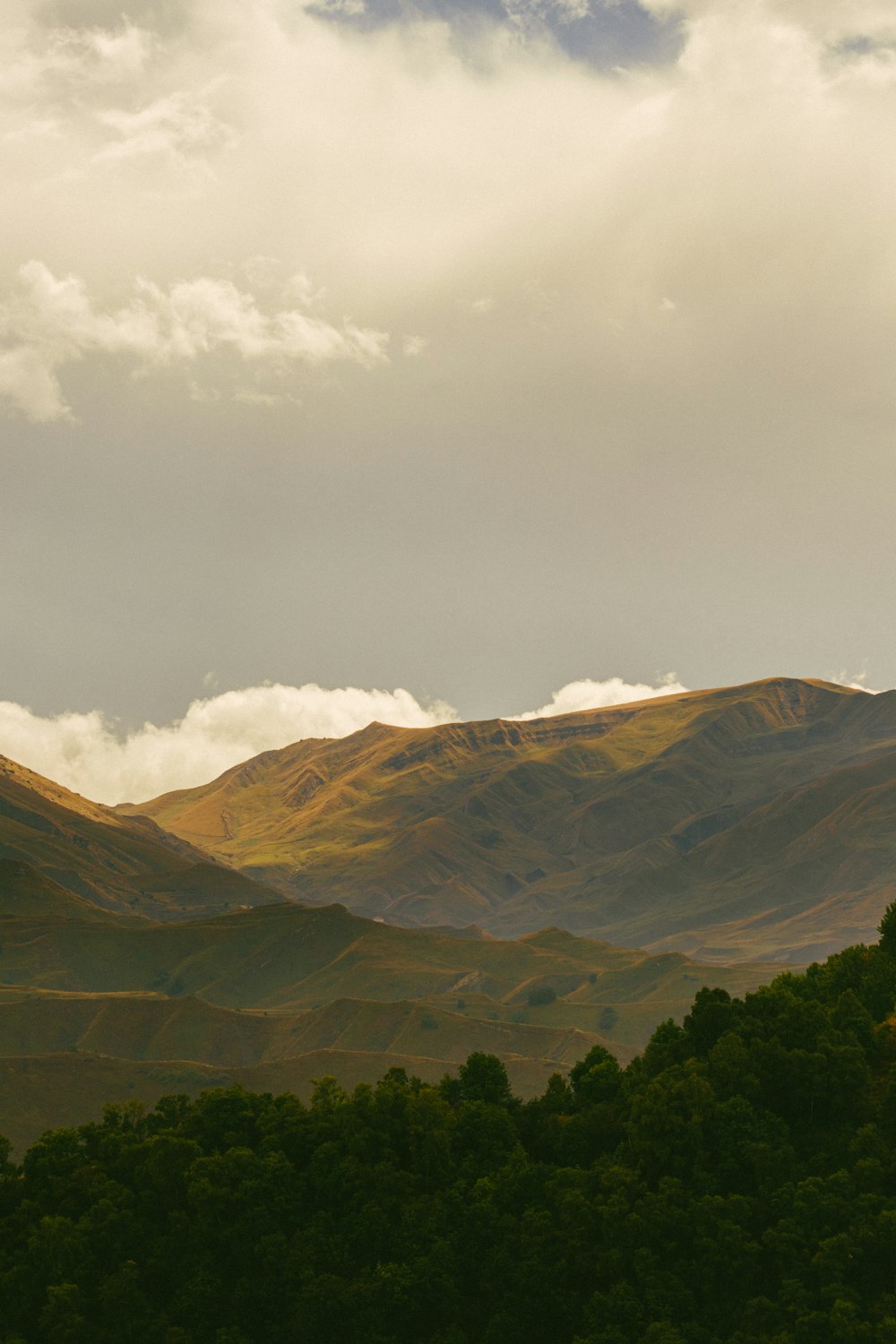 a view of a mountain range with trees in the foreground