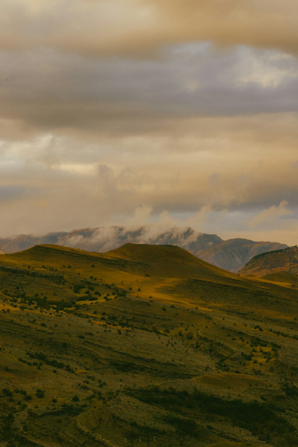 a grassy field with mountains in the background