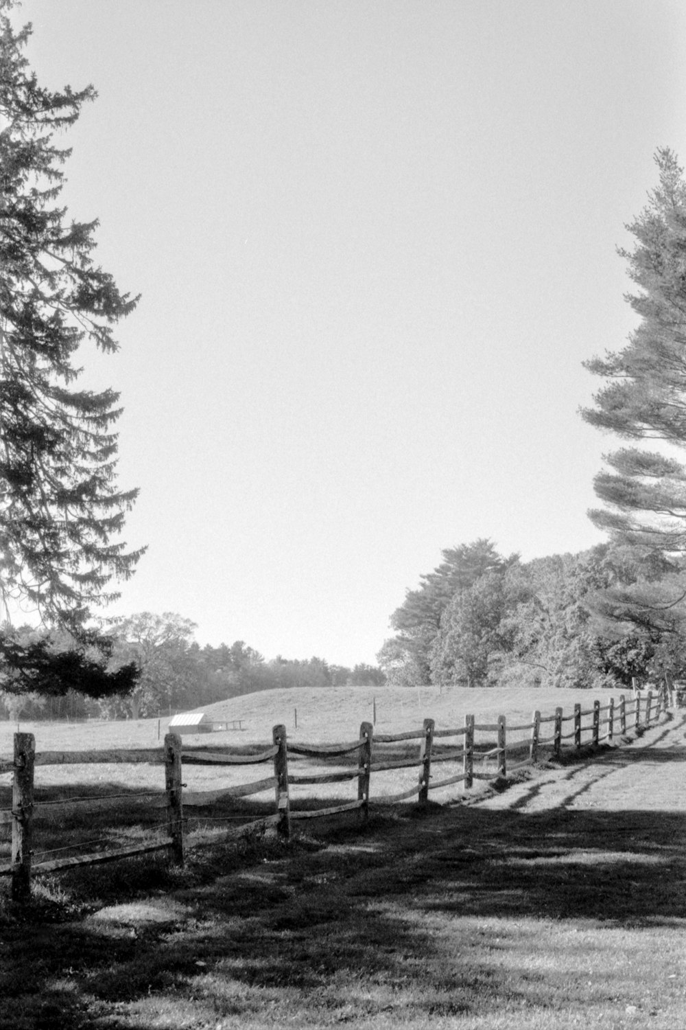 a black and white photo of a fence and trees
