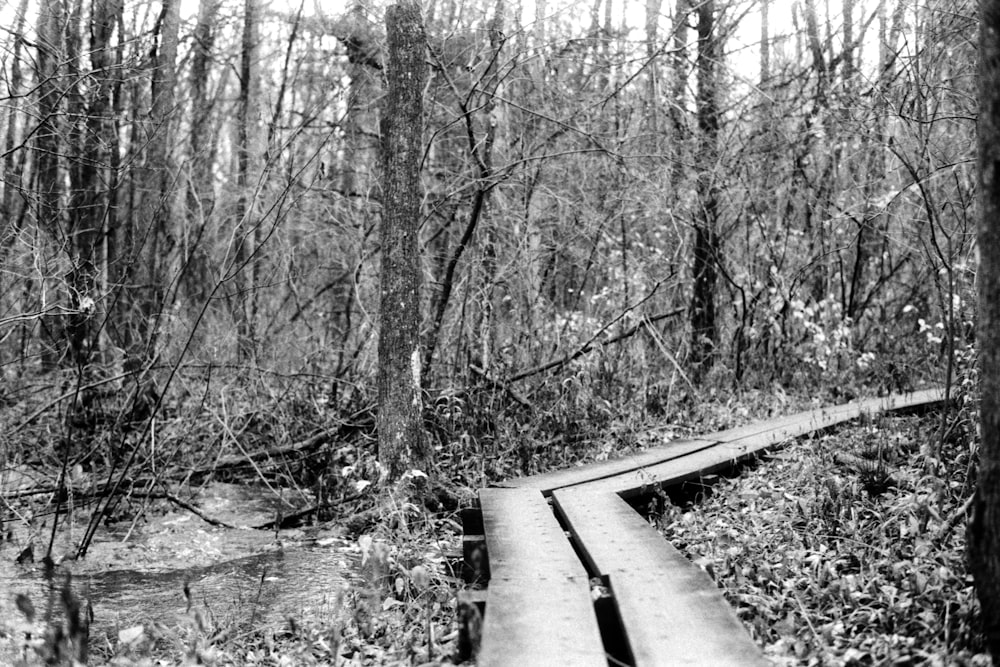 a black and white photo of a bridge in the woods