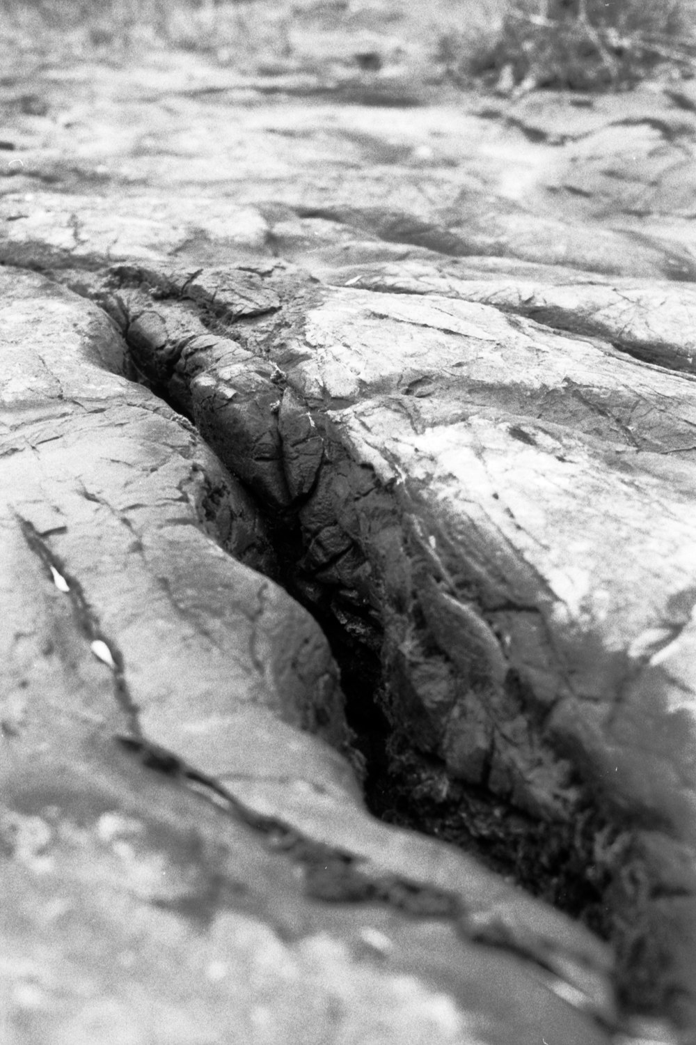 a black and white photo of a crack in the ground