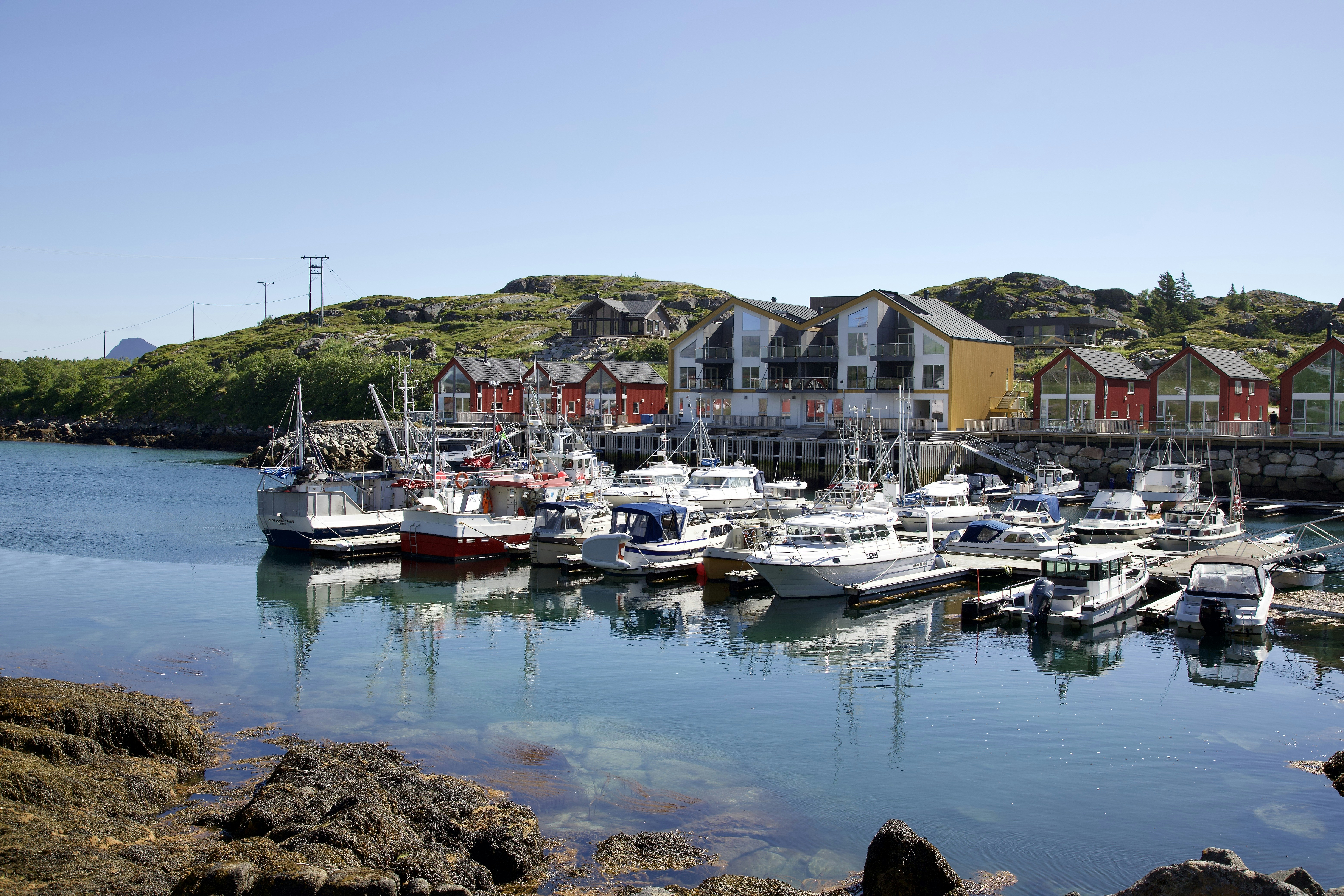 Photo by stockbirken