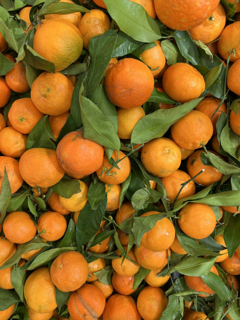 a pile of oranges with green leaves on them