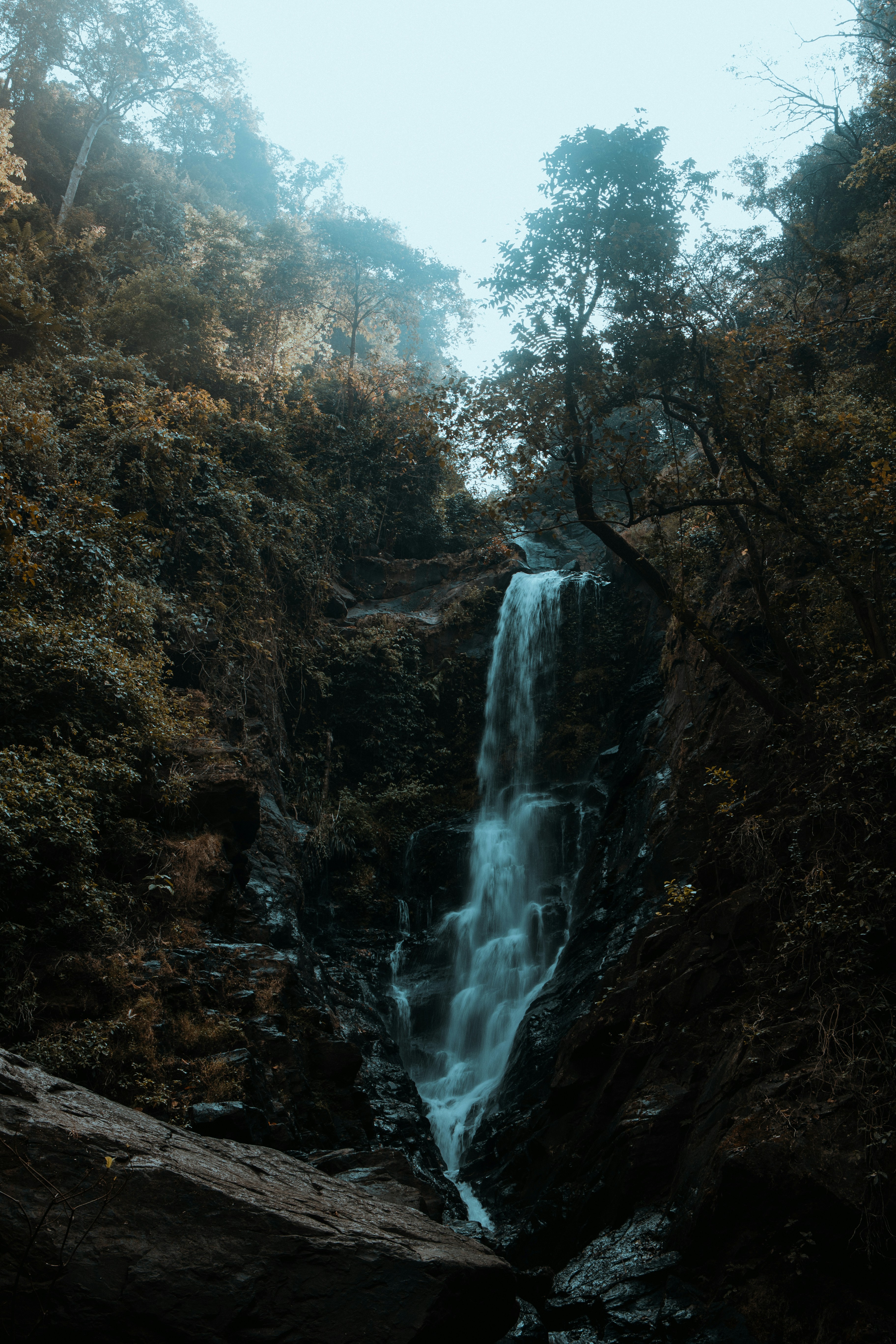 a waterfall in the middle of a forest