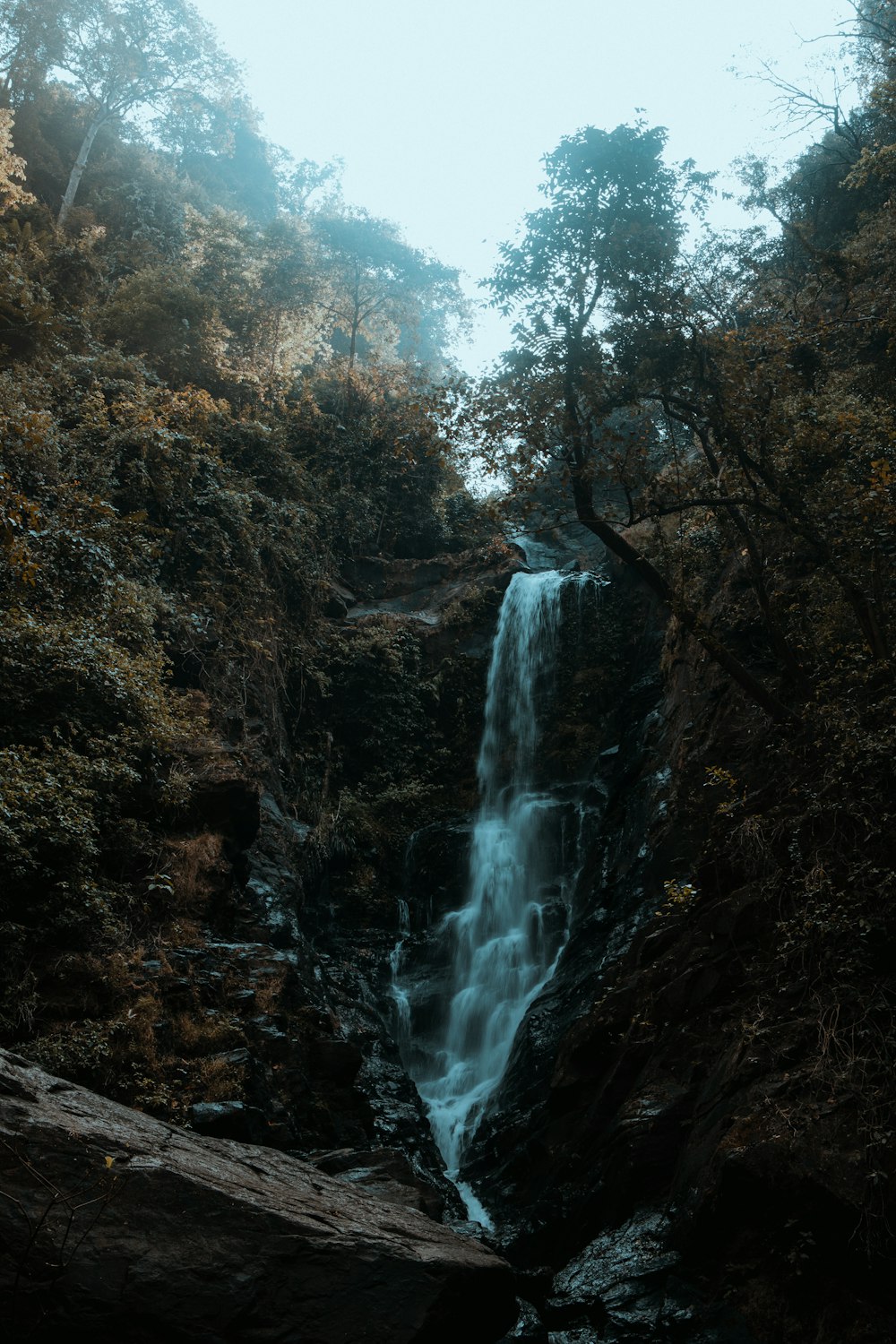 a waterfall in the middle of a forest