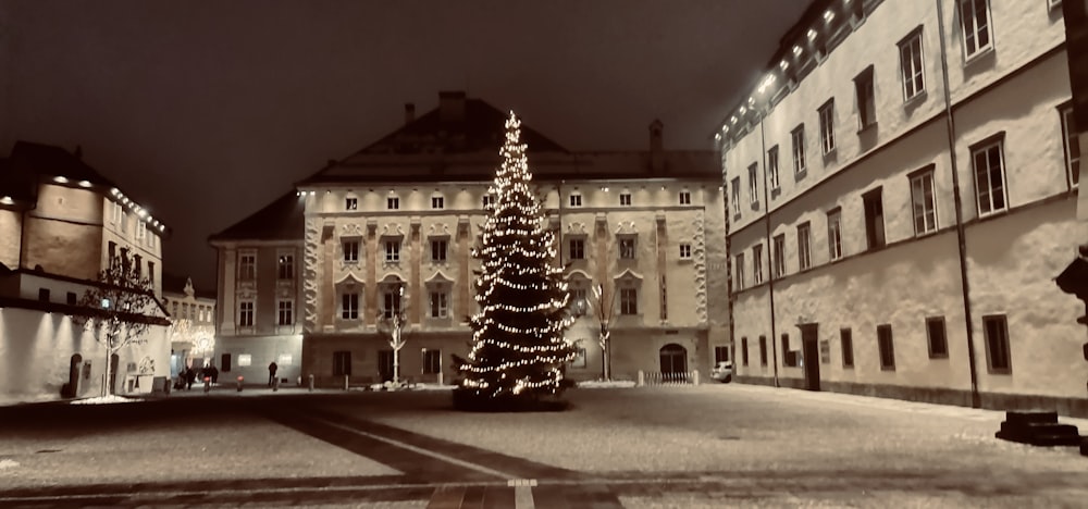 uma árvore de Natal é iluminada no meio de uma rua