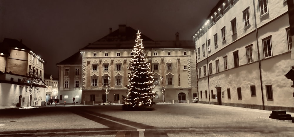 a christmas tree is lit up in the middle of a street