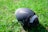 A black football with a textured surface is resting on a field of green grass. The ball features a prominent logo.