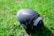 A black football with a textured surface is resting on a field of green grass. The ball features a prominent logo.