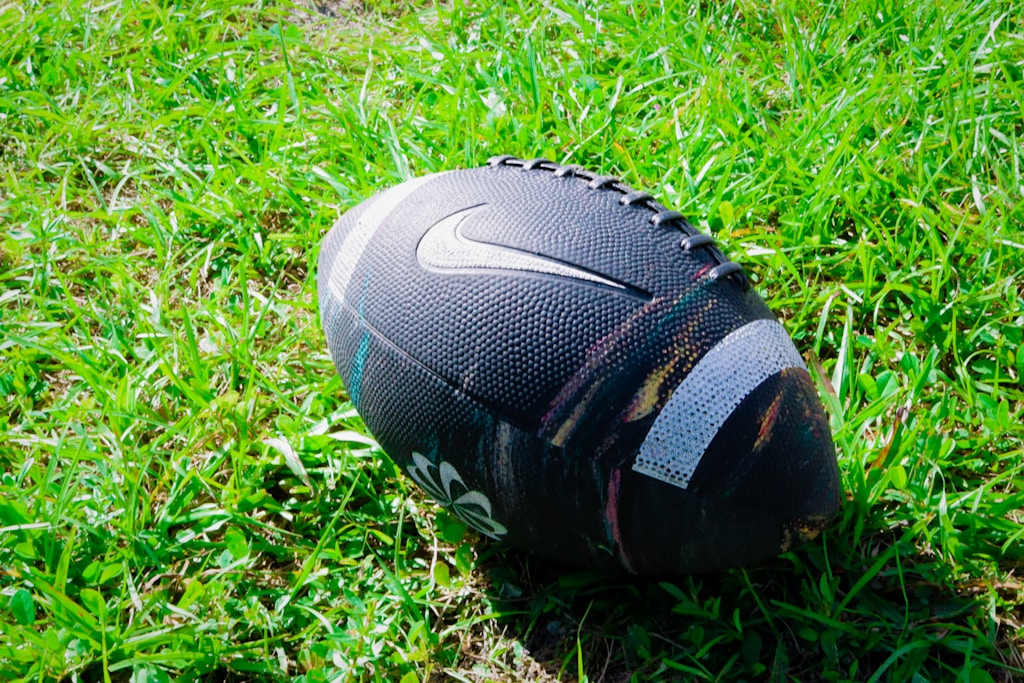 Balón Profesional