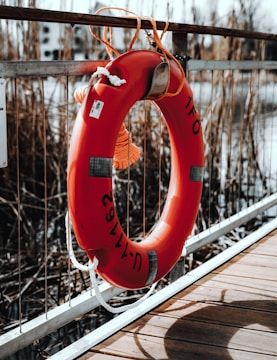 A bright orange lifebuoy is attached to a metallic railing, with some ropes hanging from it. The background features a blurred body of water and tall, dry reeds or grass. The lifebuoy has visible markings on it, including numbers and a label.