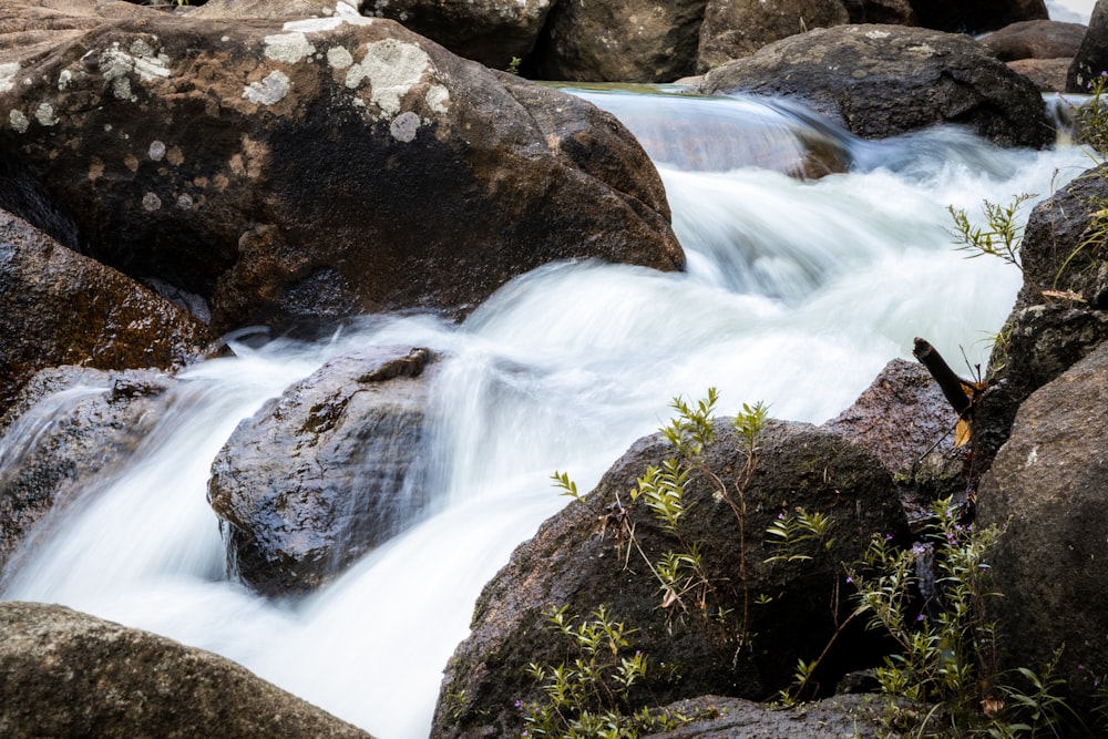 un ruscello d'acqua che scorre tra grandi rocce