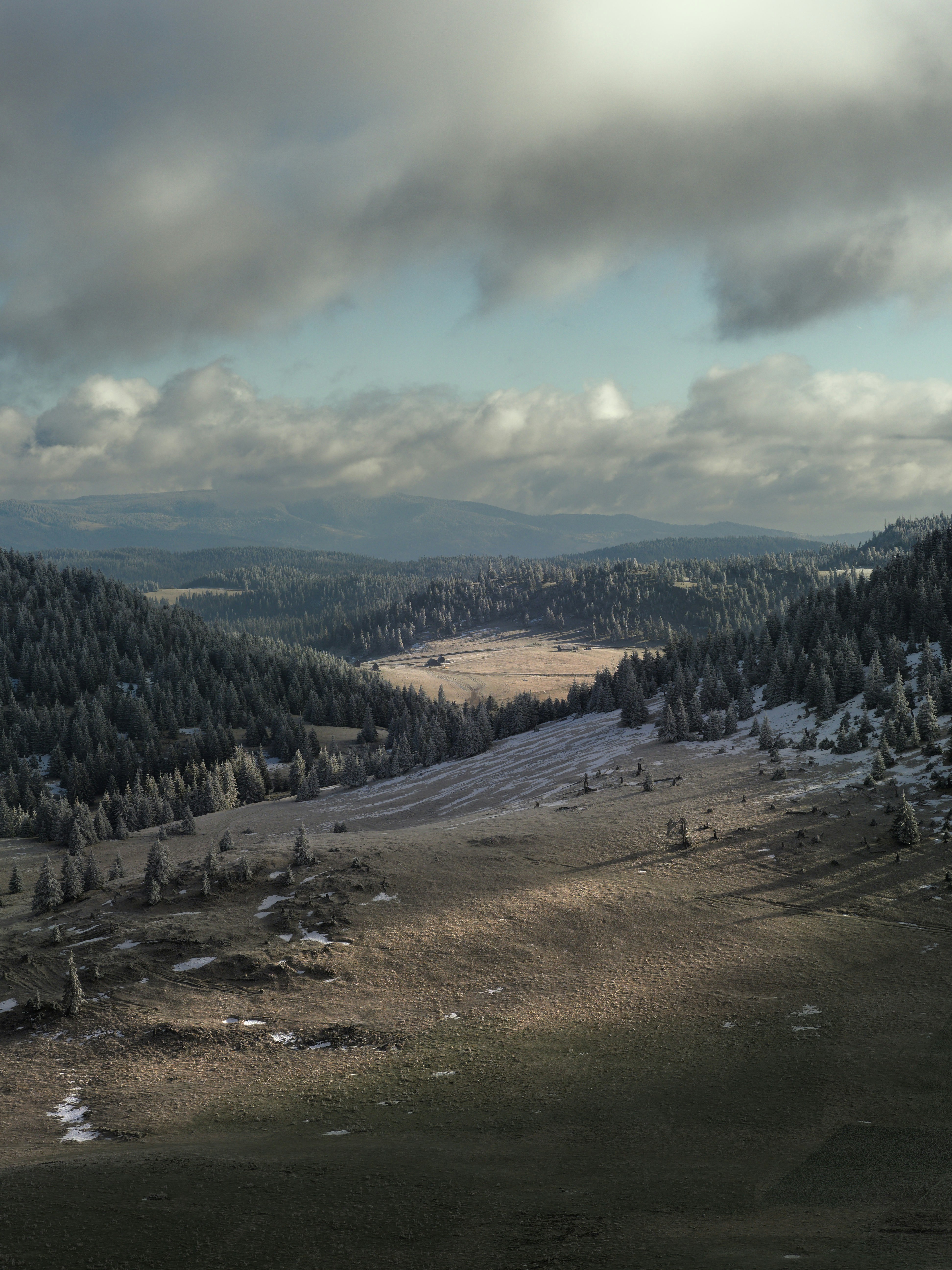 Photo by illes_cristi