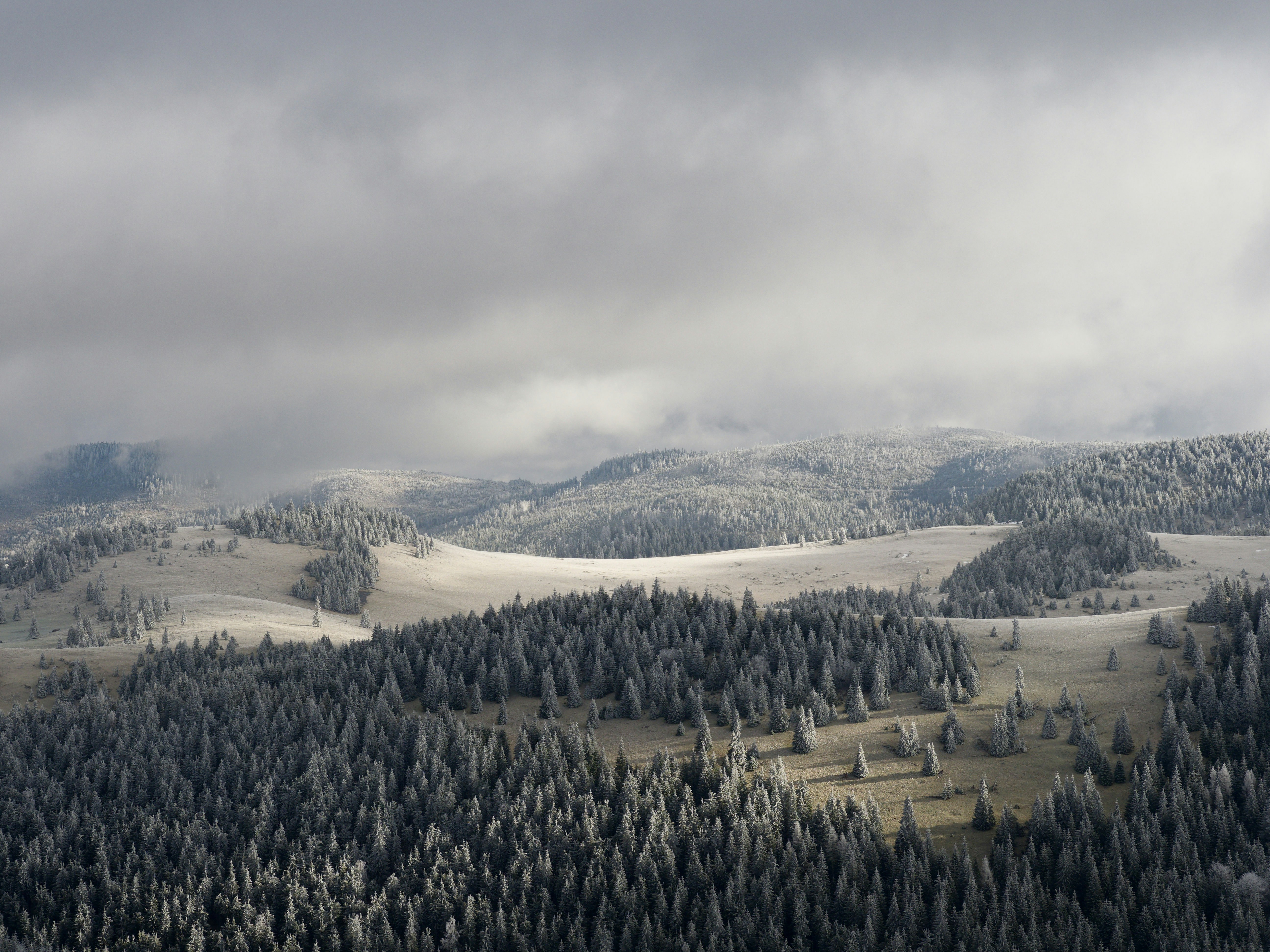 Photo by illes_cristi