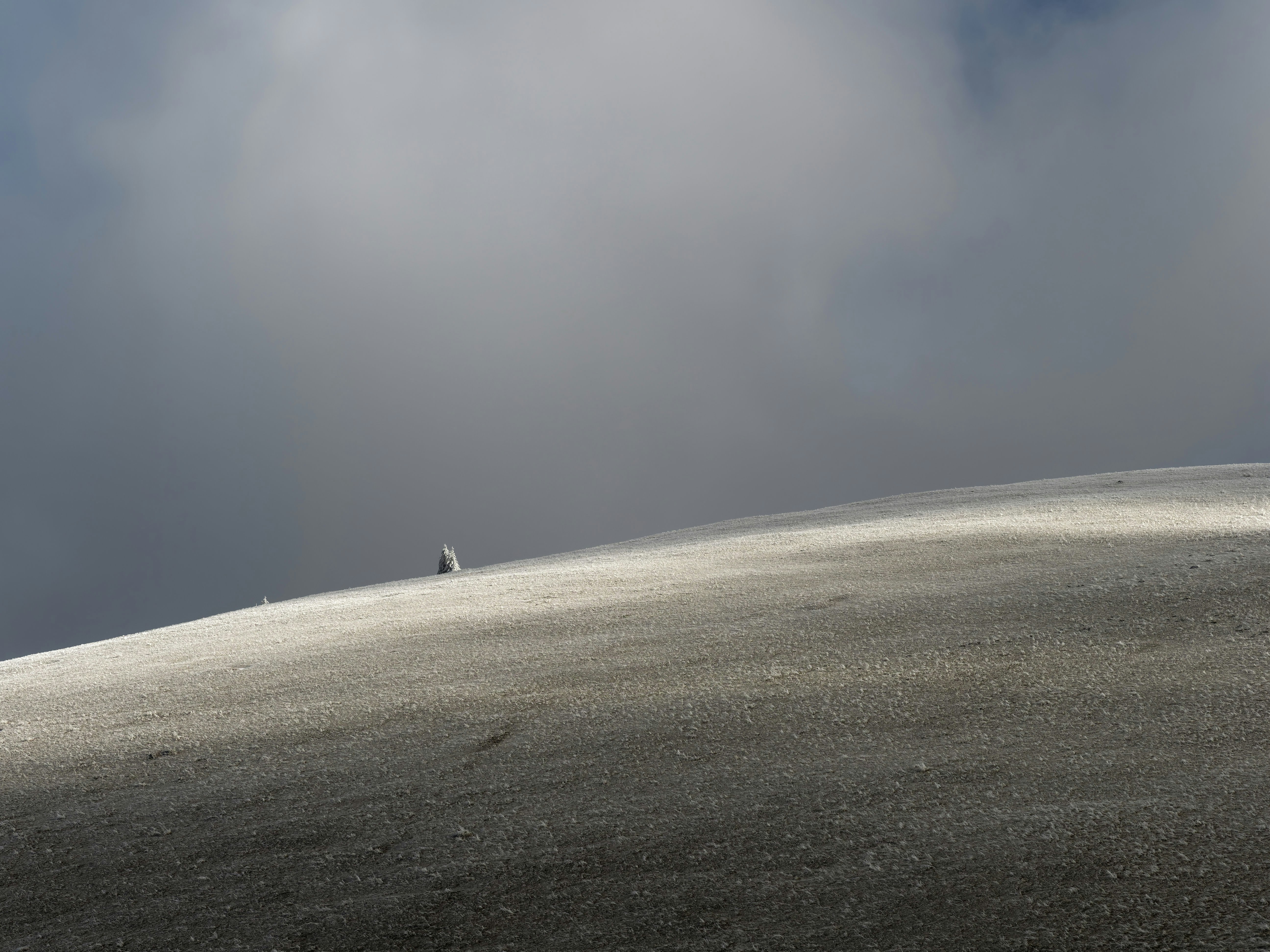 Photo by illes_cristi